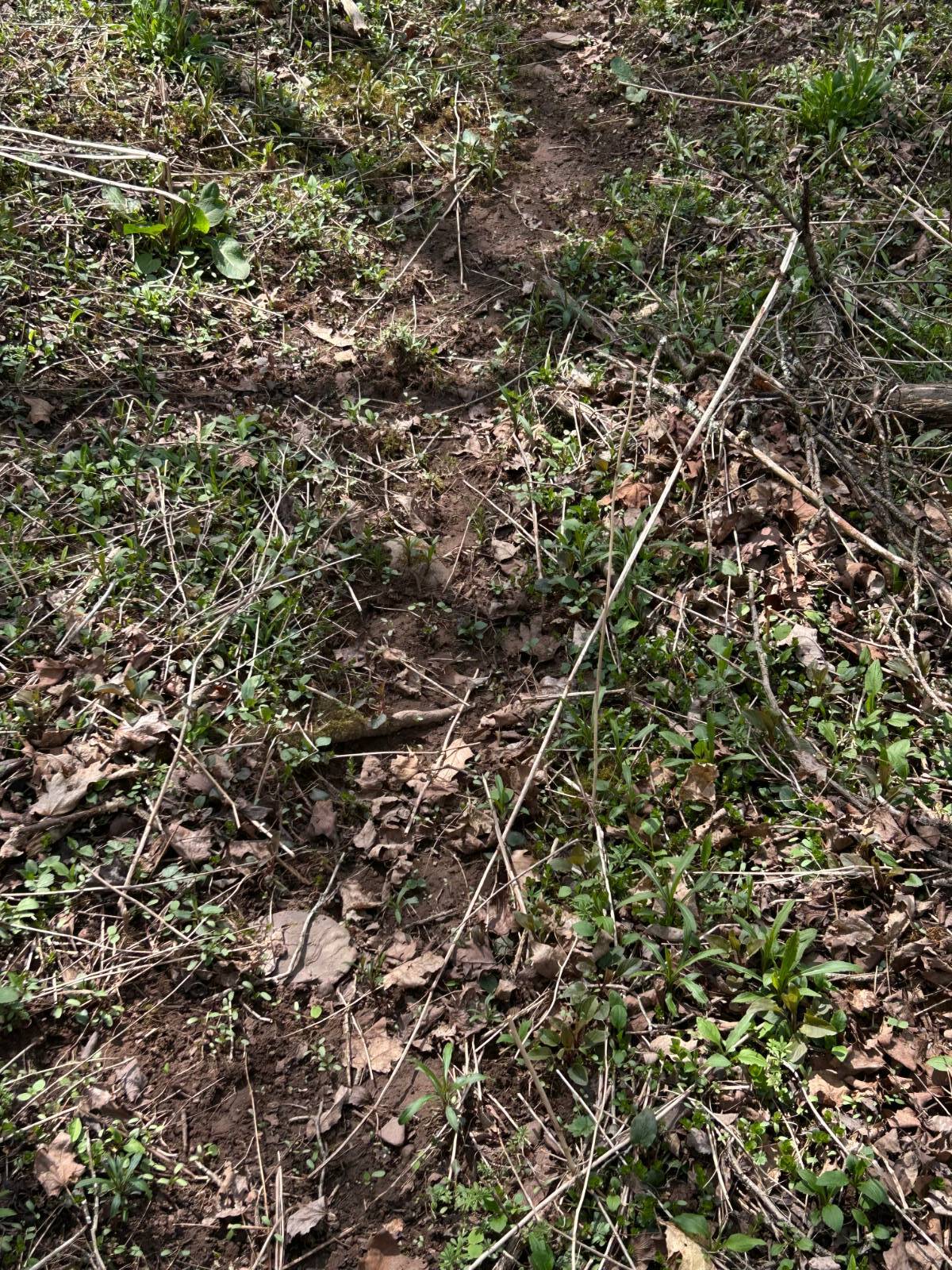 #12 photo, 0 Houghtaling Hollow Rd, Meredth , NY 13757