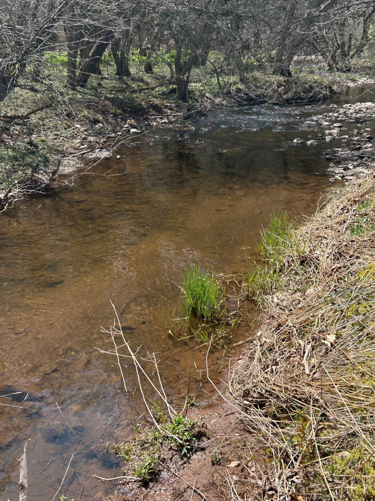 #13 photo, 0 Houghtaling Hollow Rd, Meredth , NY 13757