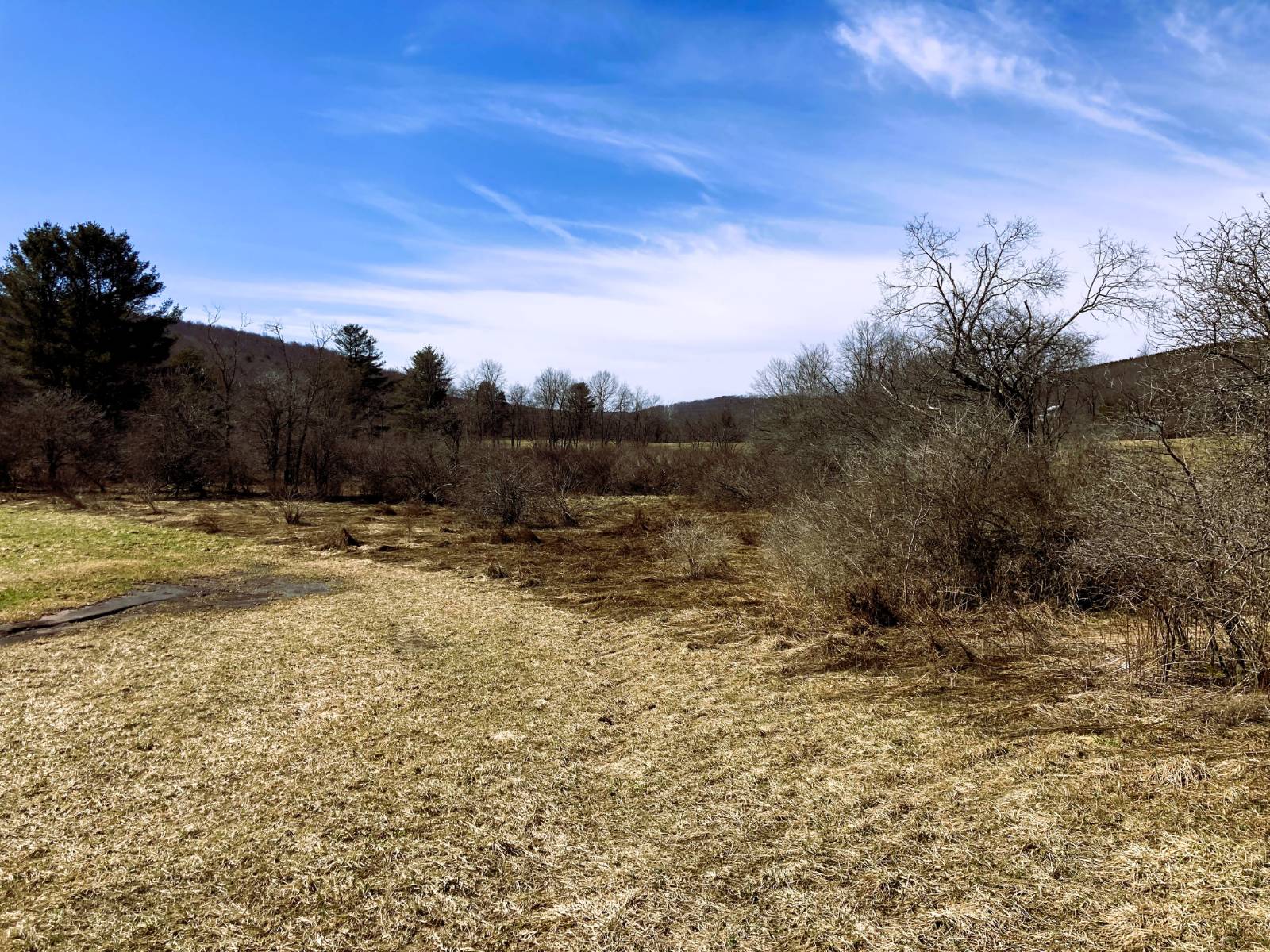 #14 photo, 0 Houghtaling Hollow Rd, Meredth , NY 13757