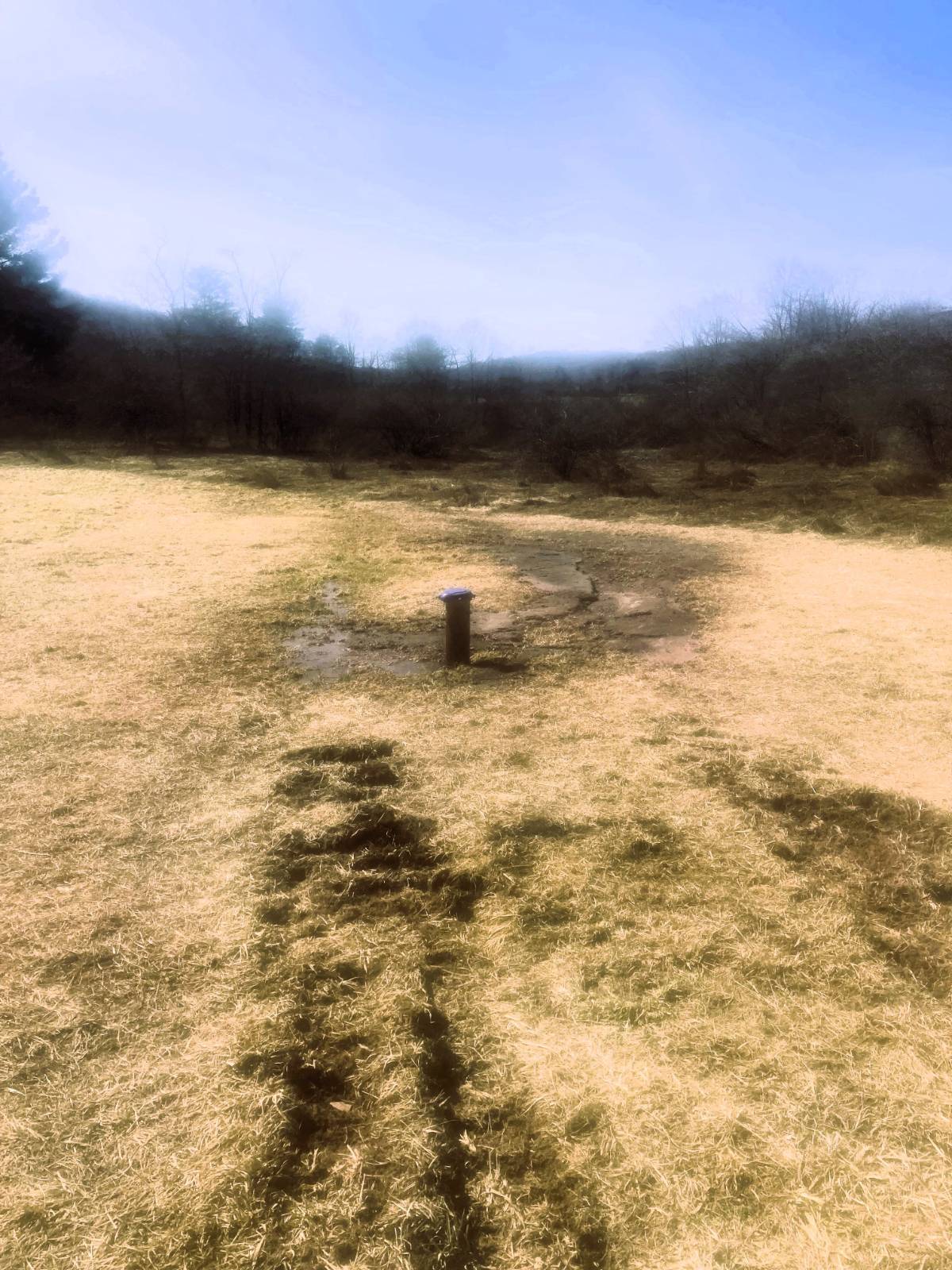 #15 photo, 0 Houghtaling Hollow Rd, Meredth , NY 13757