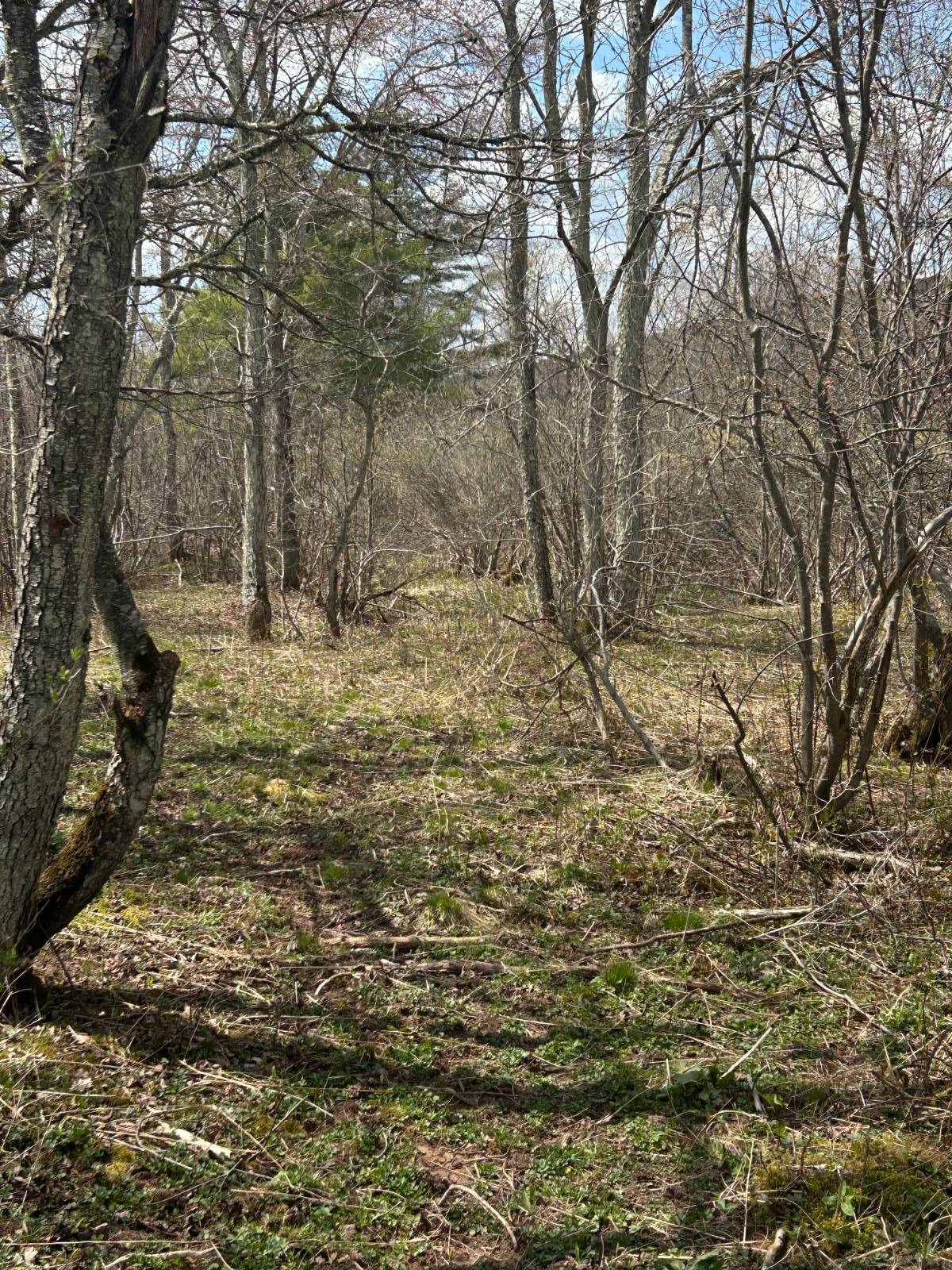 #16 photo, 0 Houghtaling Hollow Rd, Meredth , NY 13757