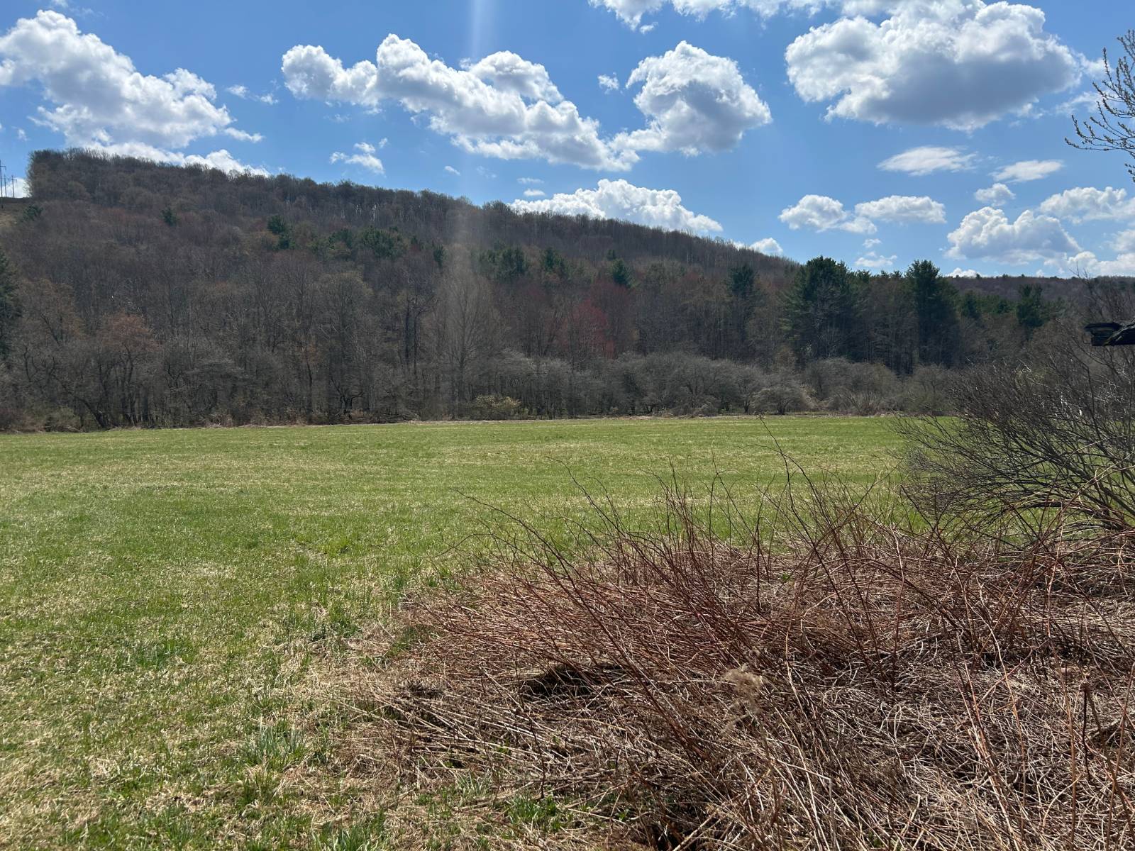 #3 photo, 0 Houghtaling Hollow Rd, Meredth , NY 13757