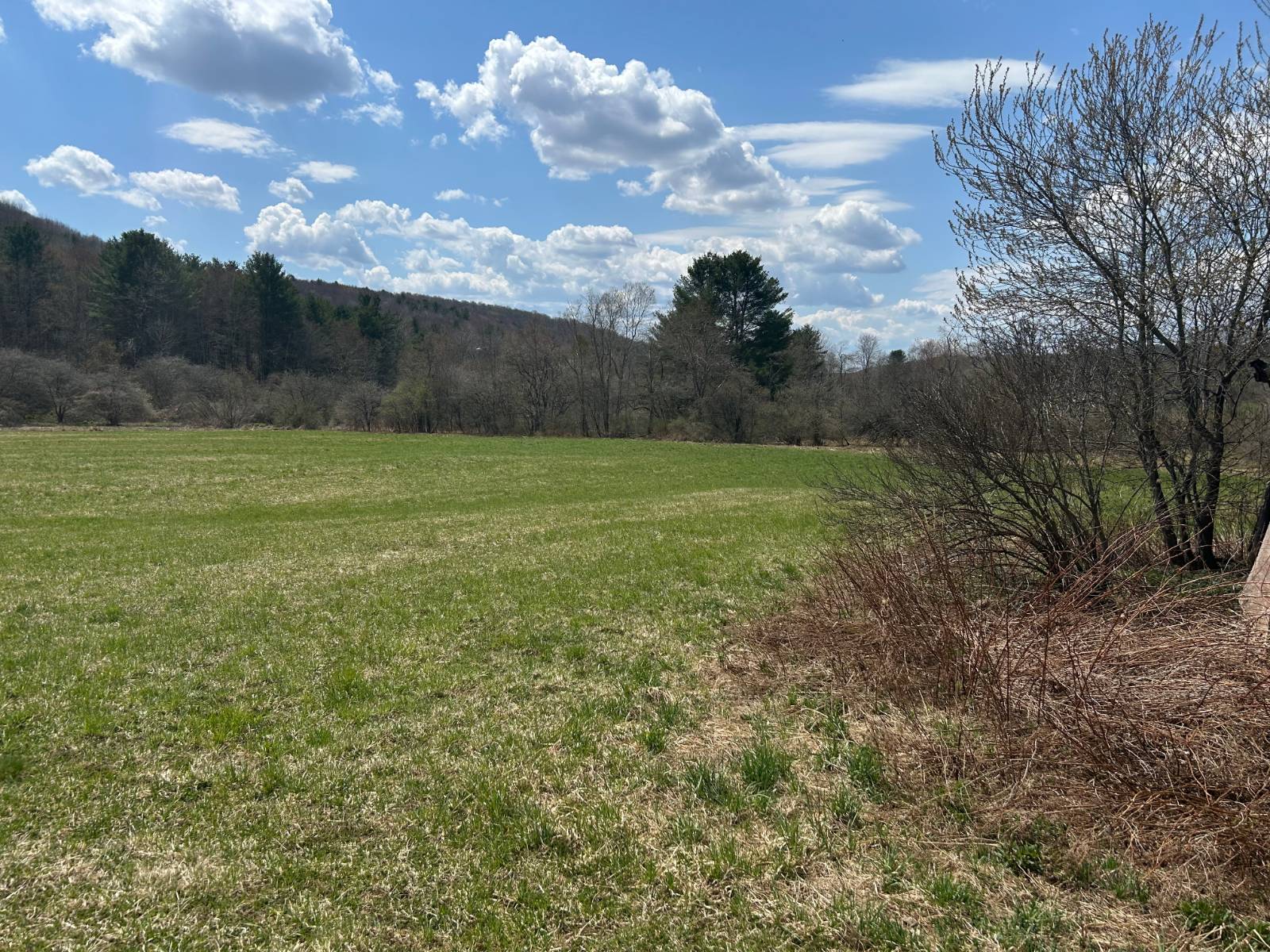 #4 photo, 0 Houghtaling Hollow Rd, Meredth , NY 13757