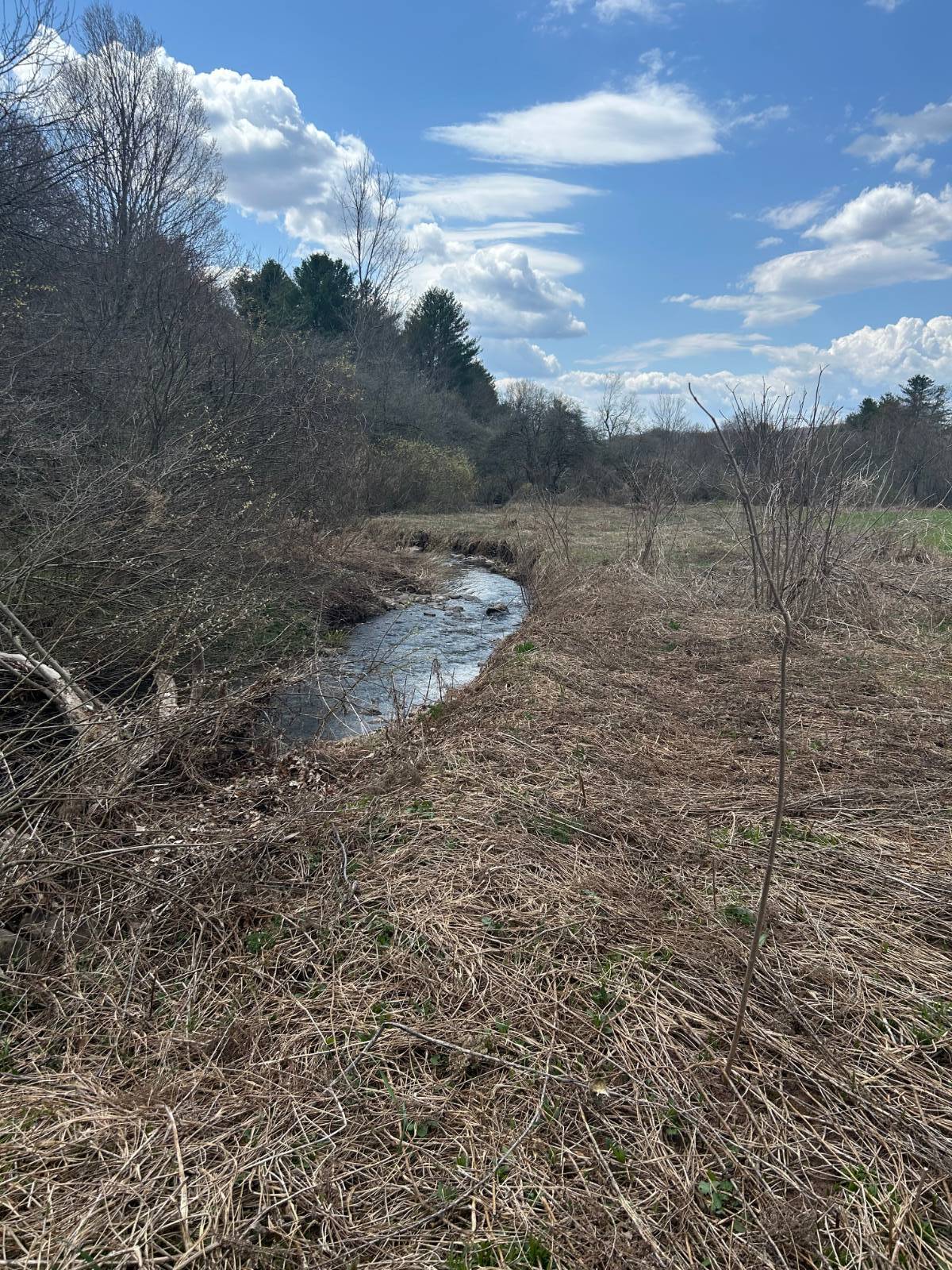 #5 photo, 0 Houghtaling Hollow Rd, Meredth , NY 13757