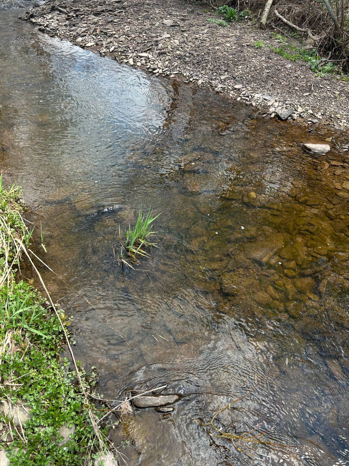 #6 photo, 0 Houghtaling Hollow Rd, Meredth , NY 13757