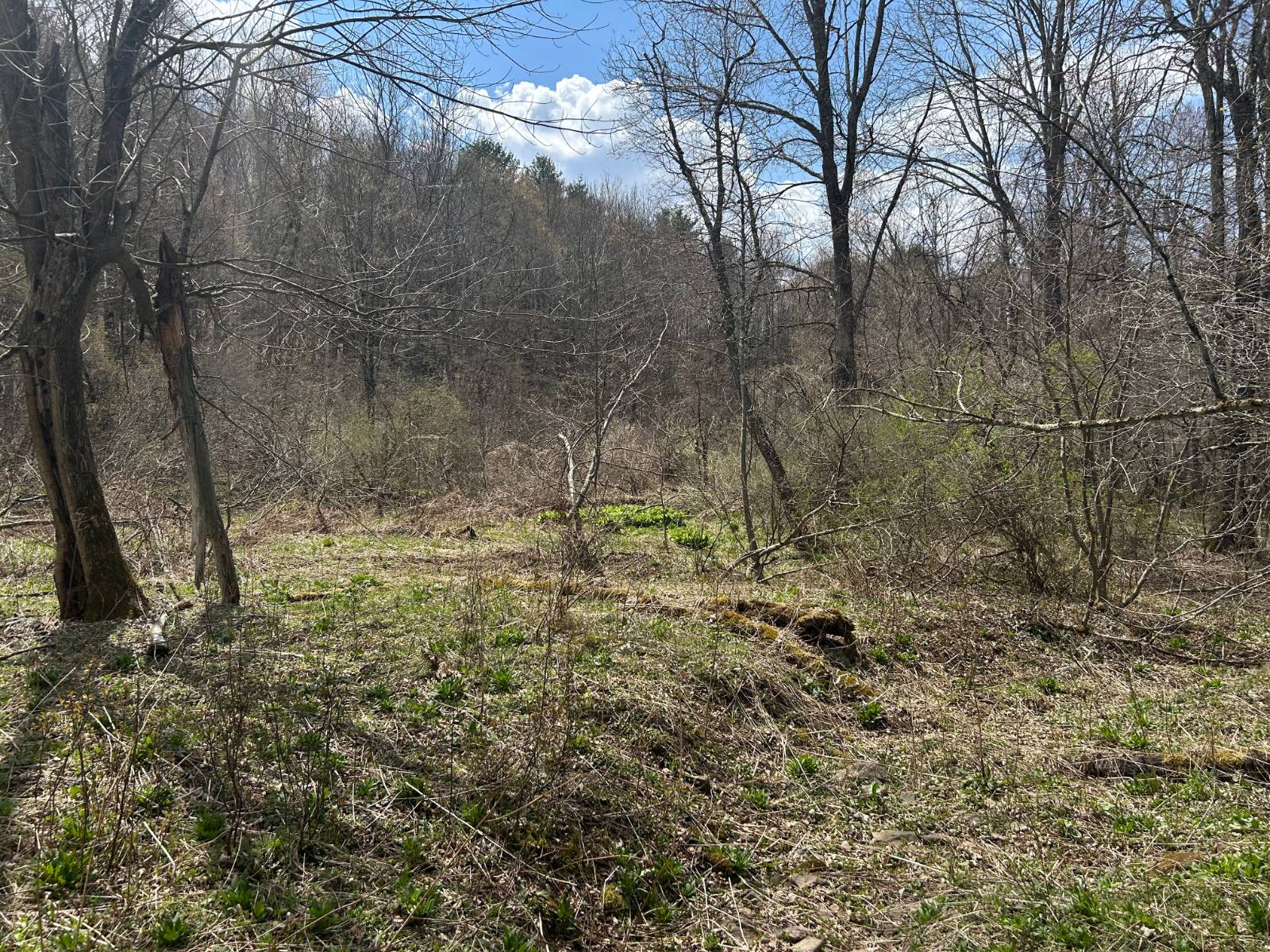 #7 photo, 0 Houghtaling Hollow Rd, Meredth , NY 13757