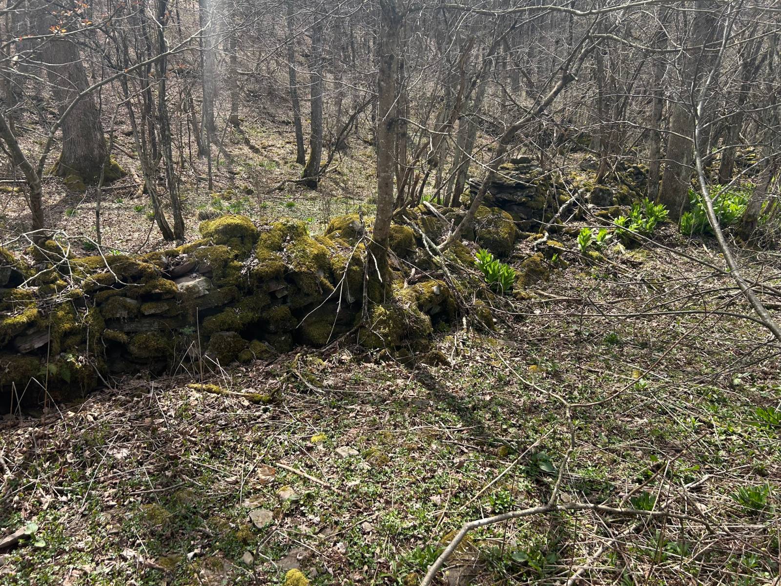 #8 photo, 0 Houghtaling Hollow Rd, Meredth , NY 13757