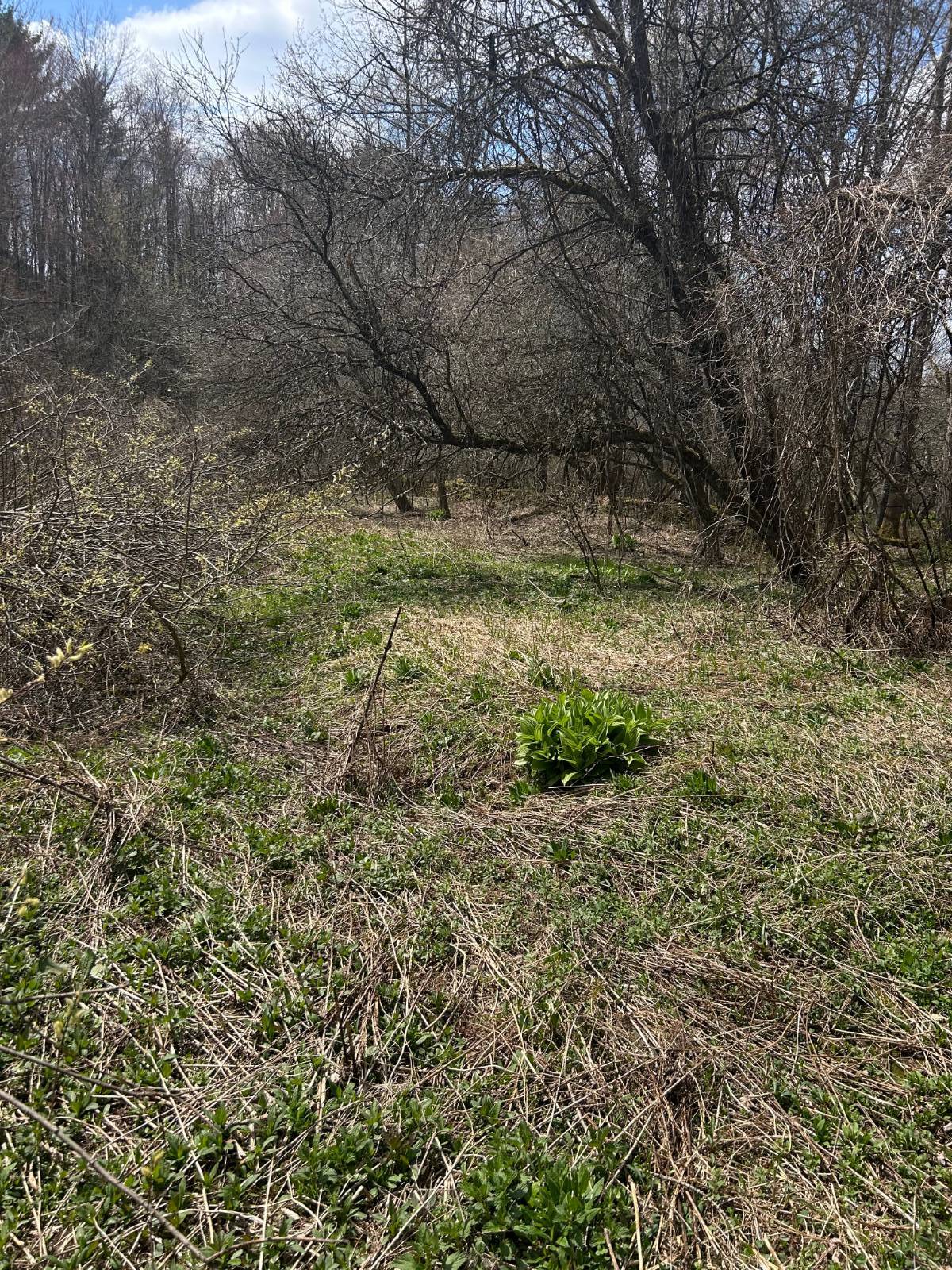 #9 photo, 0 Houghtaling Hollow Rd, Meredth , NY 13757