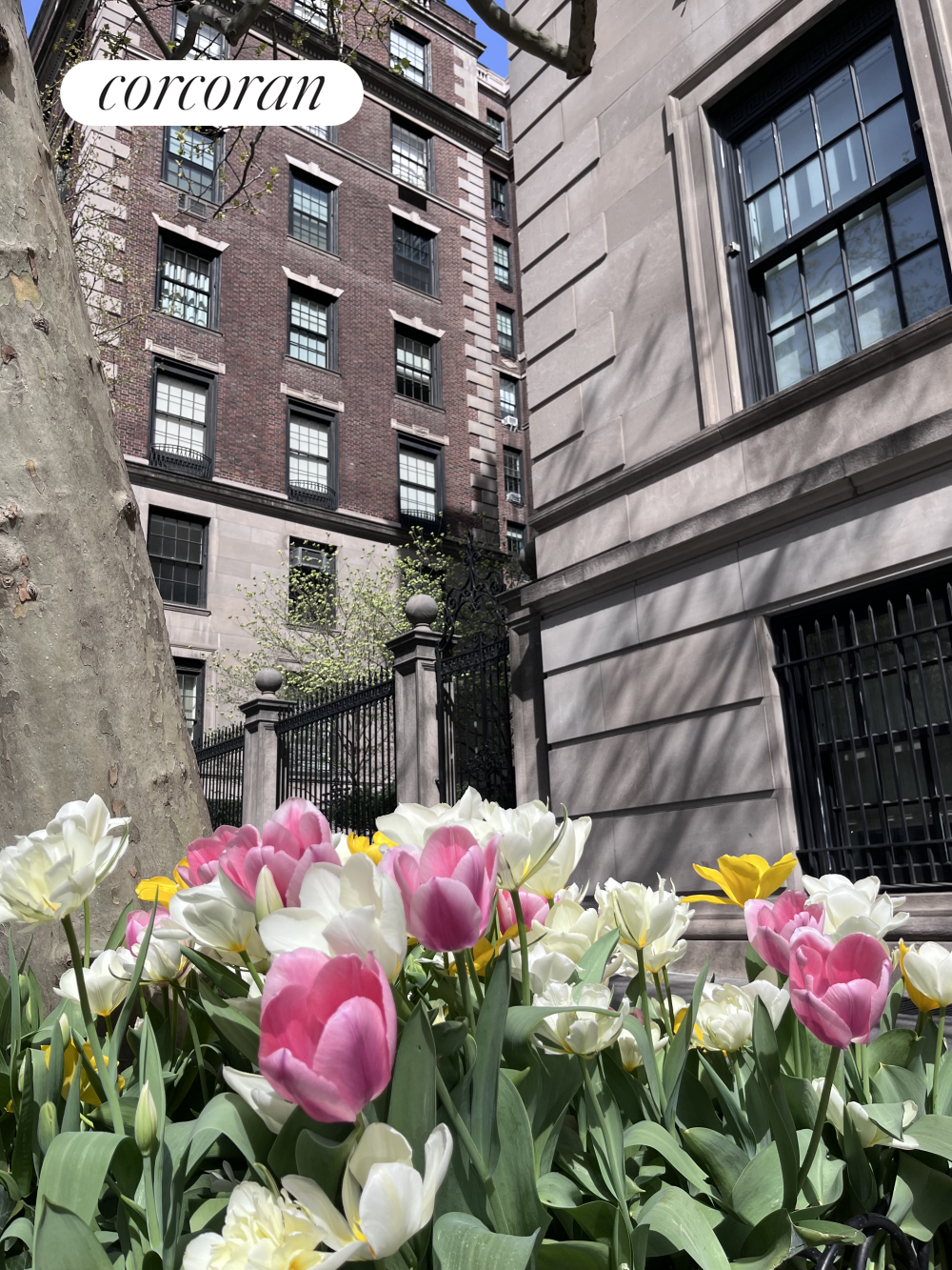 #12 photo, 655 PARK Avenue, マンハッタン Lenox Hill , NY 10065