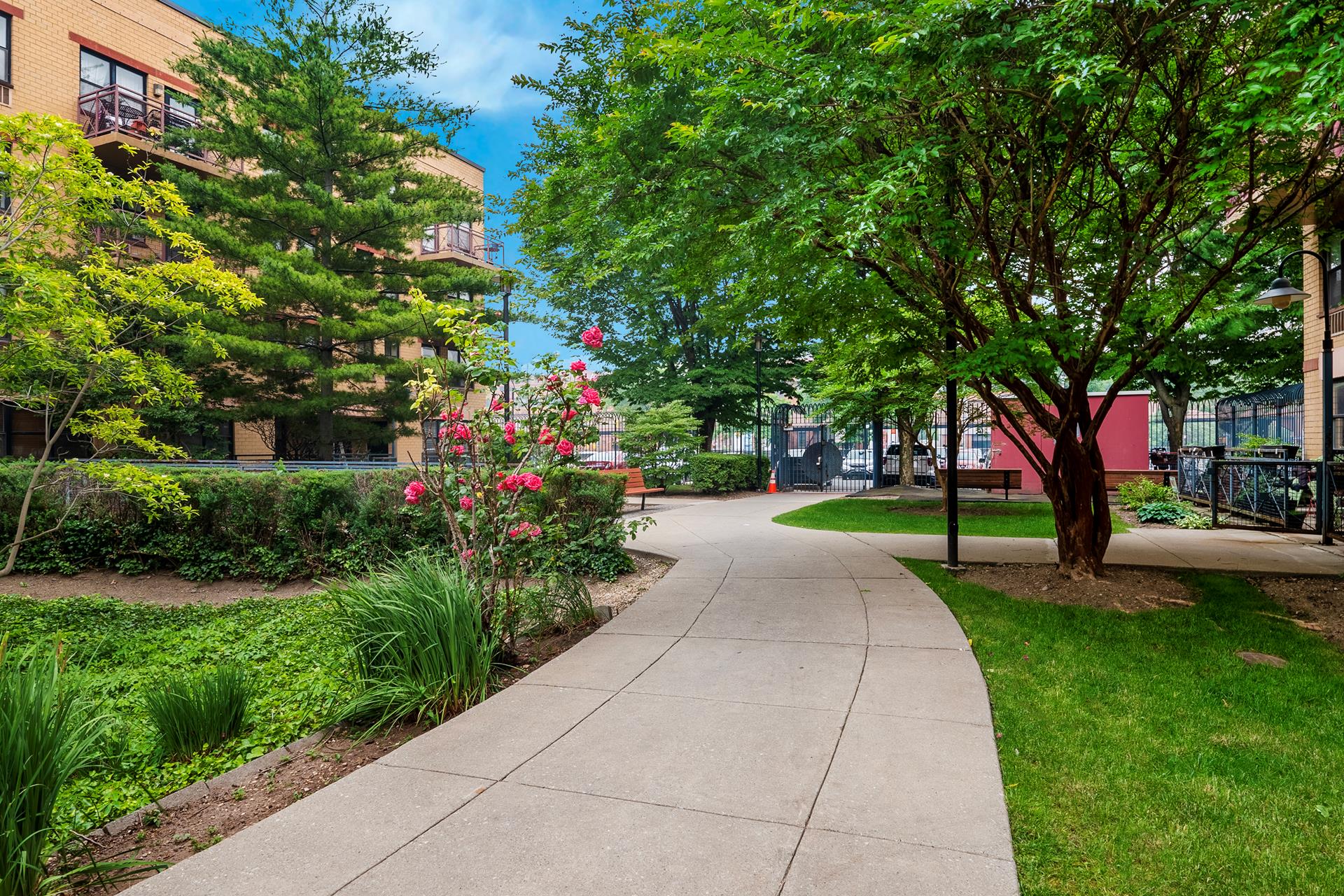 #14 photo, 1901 MADISON Avenue, マンハッタン South Harlem , NY 10035