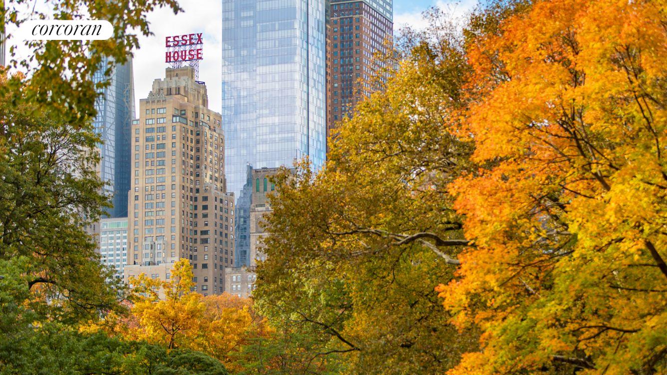 #15 photo, 160 CENTRAL Park S, マンハッタン Central Park South , NY 10019