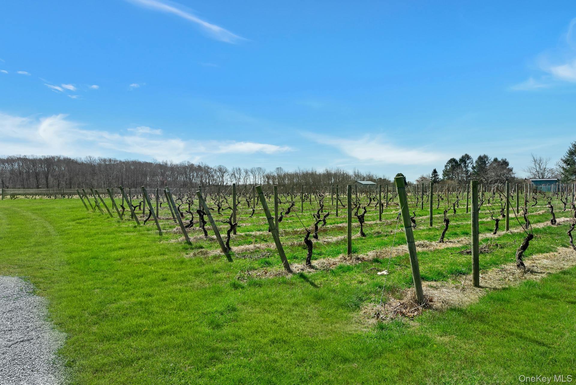 #6 photo, 3385 Depot Lane, サフォーク郡 Cutchogue , NY 11935