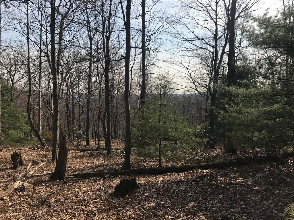 #11 photo, State Route 209, Wurtsboro , NY 12790