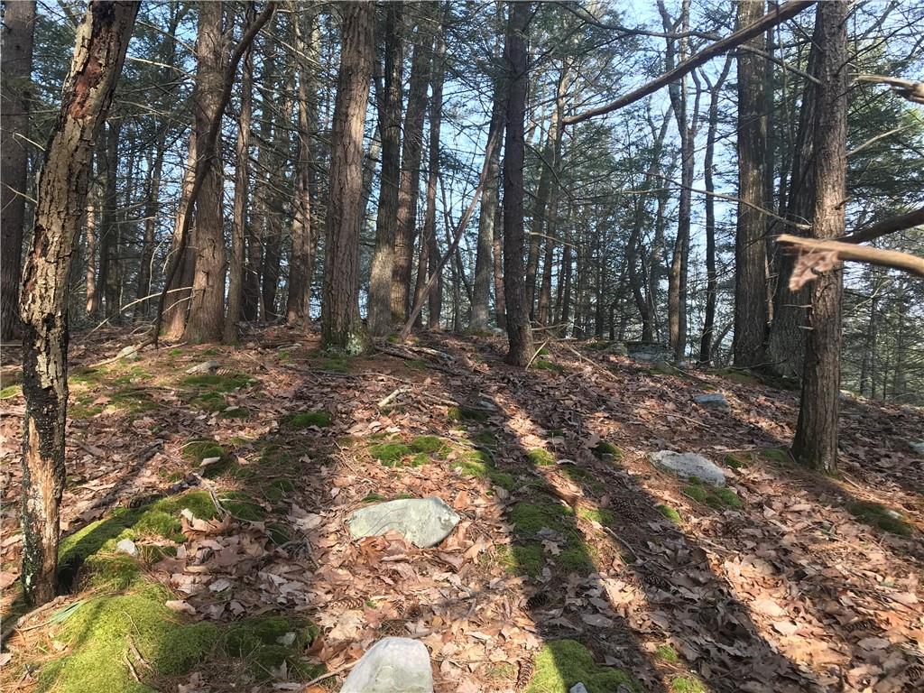 #12 photo, State Route 209, Wurtsboro , NY 12790