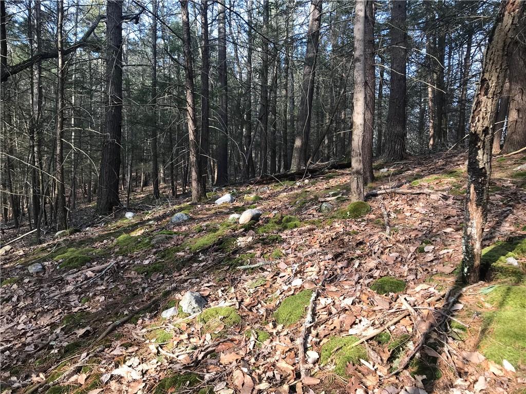 #14 photo, State Route 209, Wurtsboro , NY 12790