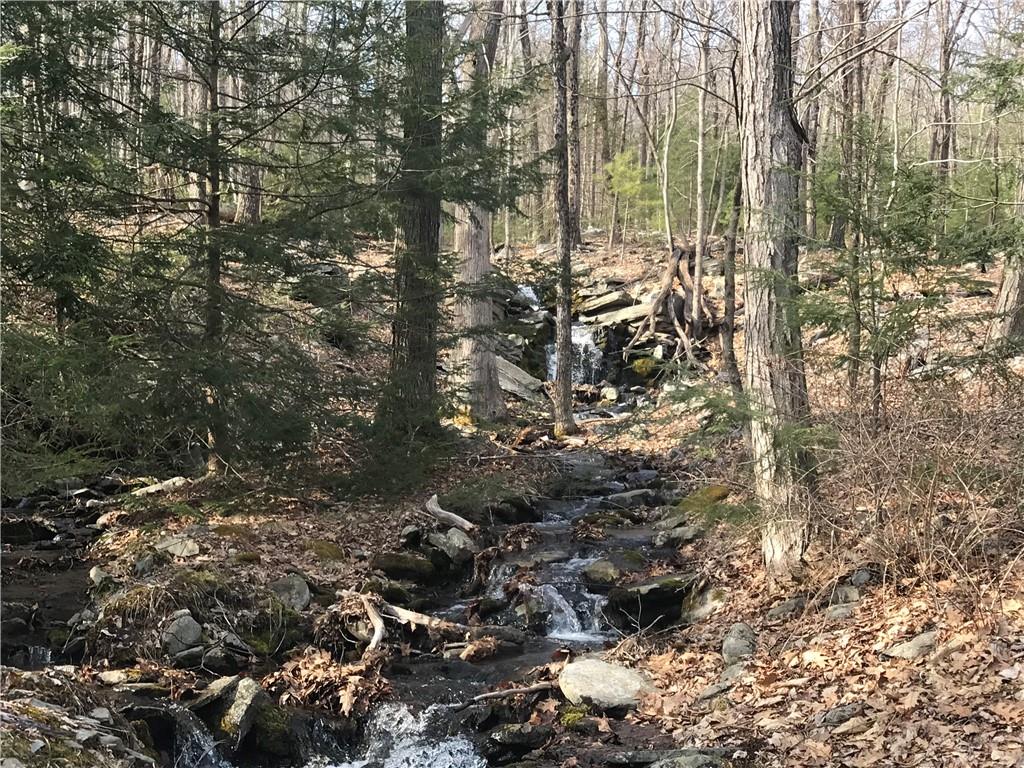 #15 photo, State Route 209, Wurtsboro , NY 12790