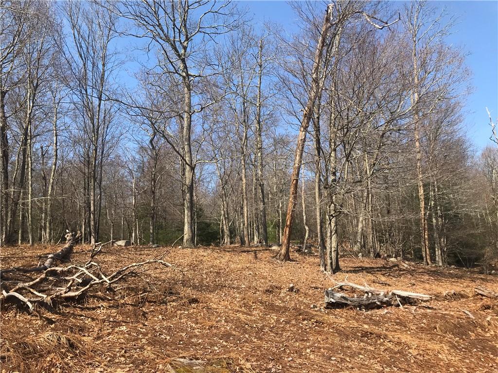 #2 photo, State Route 209, Wurtsboro , NY 12790