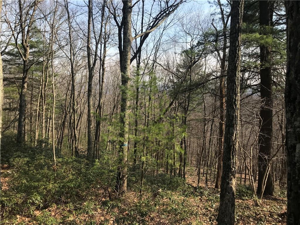 #4 photo, State Route 209, Wurtsboro , NY 12790