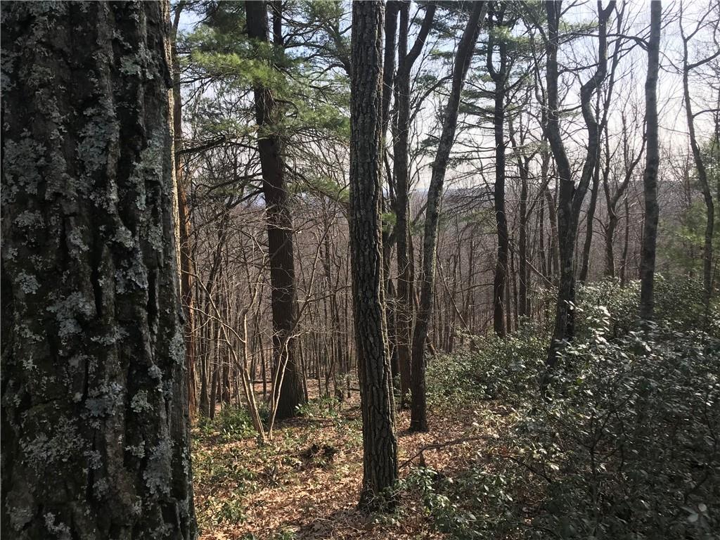 #6 photo, State Route 209, Wurtsboro , NY 12790