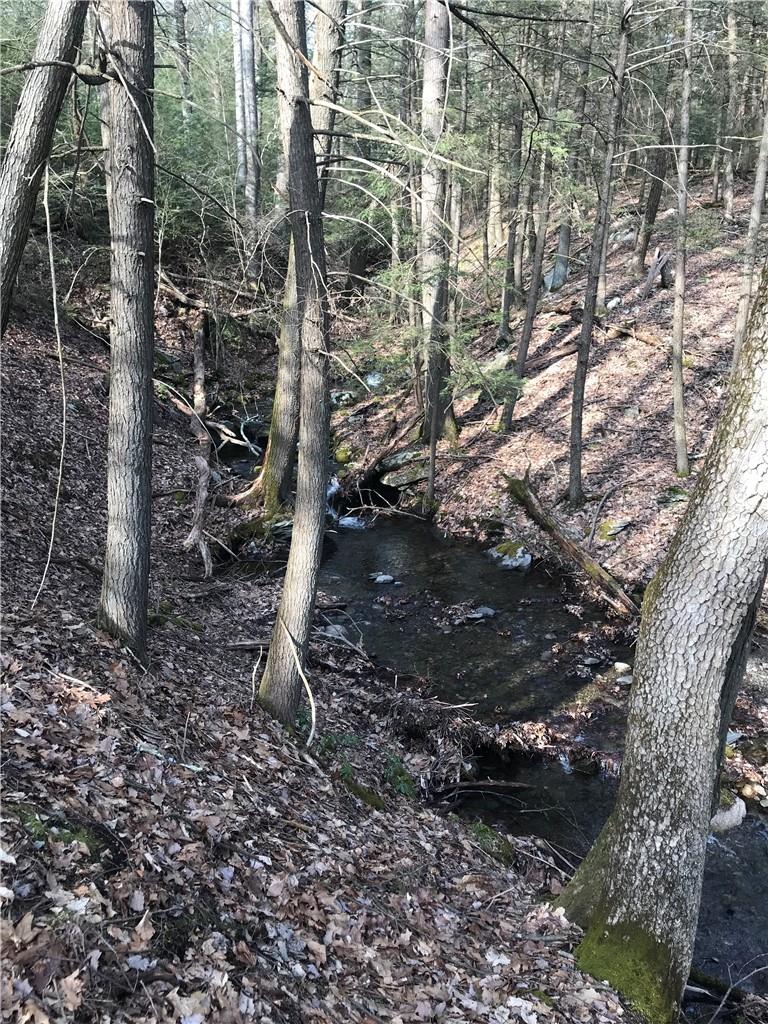 #7 photo, State Route 209, Wurtsboro , NY 12790