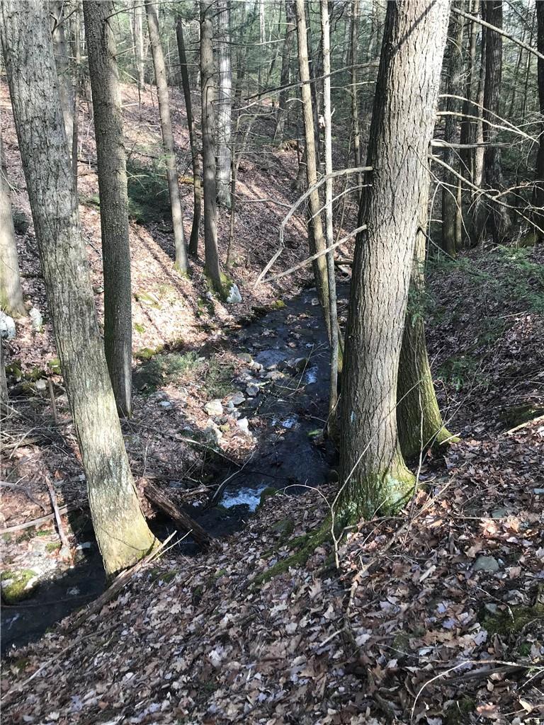 #8 photo, State Route 209, Wurtsboro , NY 12790