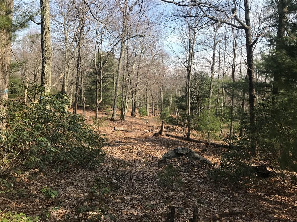 #9 photo, State Route 209, Wurtsboro , NY 12790