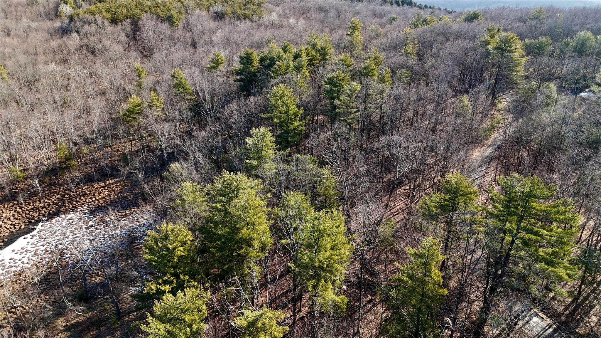 #8 photo, 411 Old Mountain Road, Otisville , NY 10963