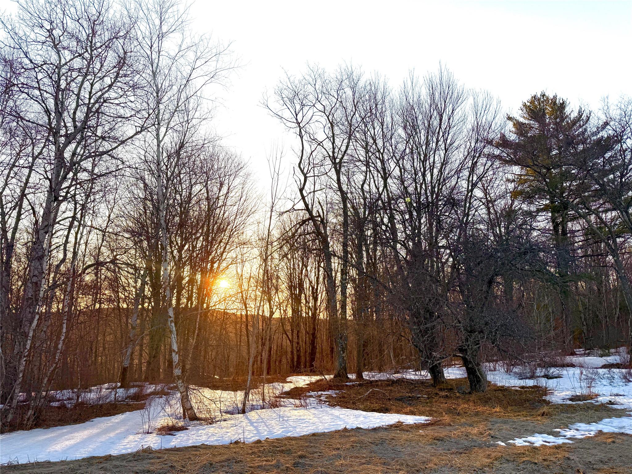 #8 photo, 2182 Snake Hill Road, Call Listing Agent , NY 13775