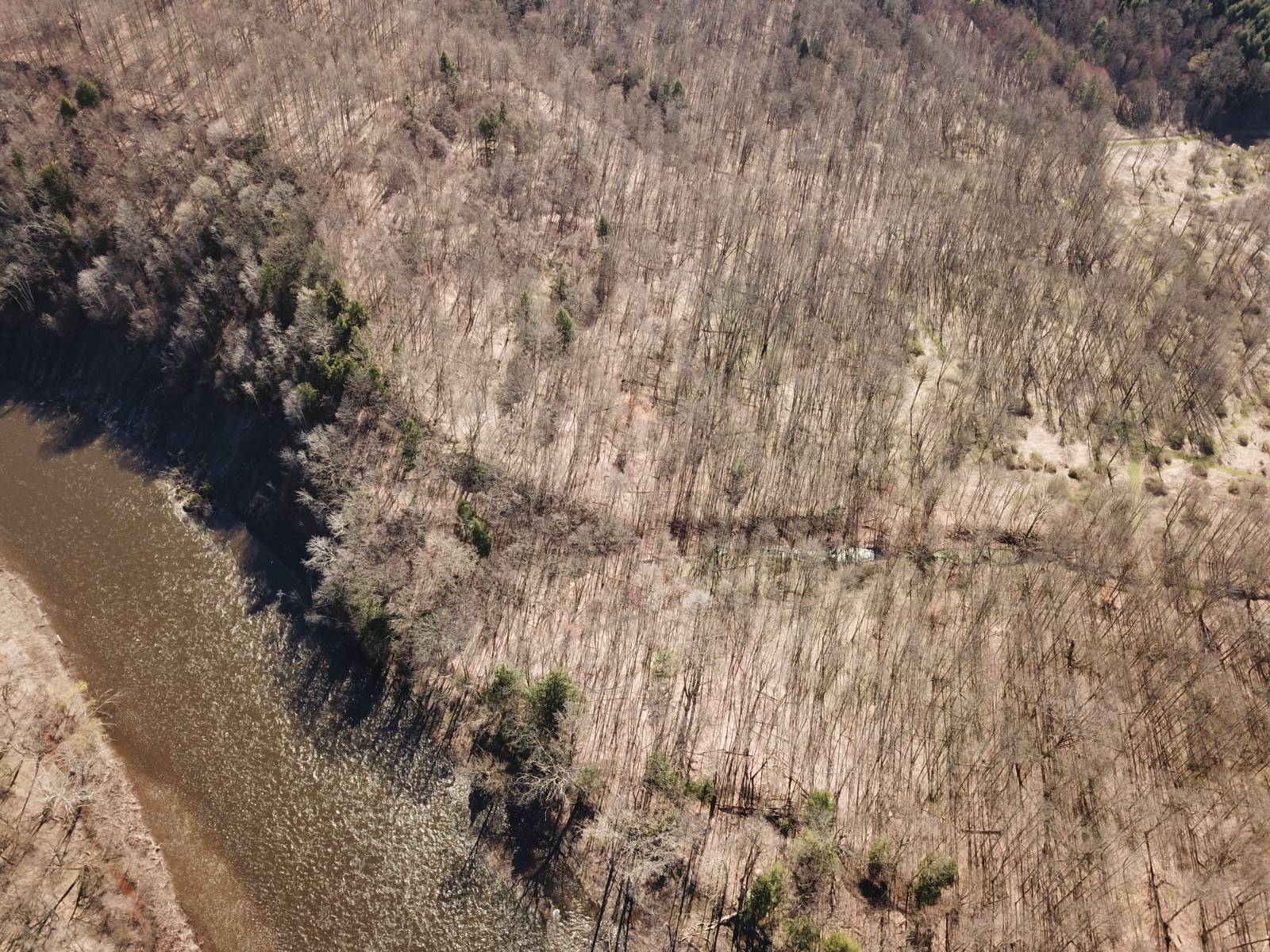 #6 photo, 000 Shells Bush Rd, Herkimer , NY 13350