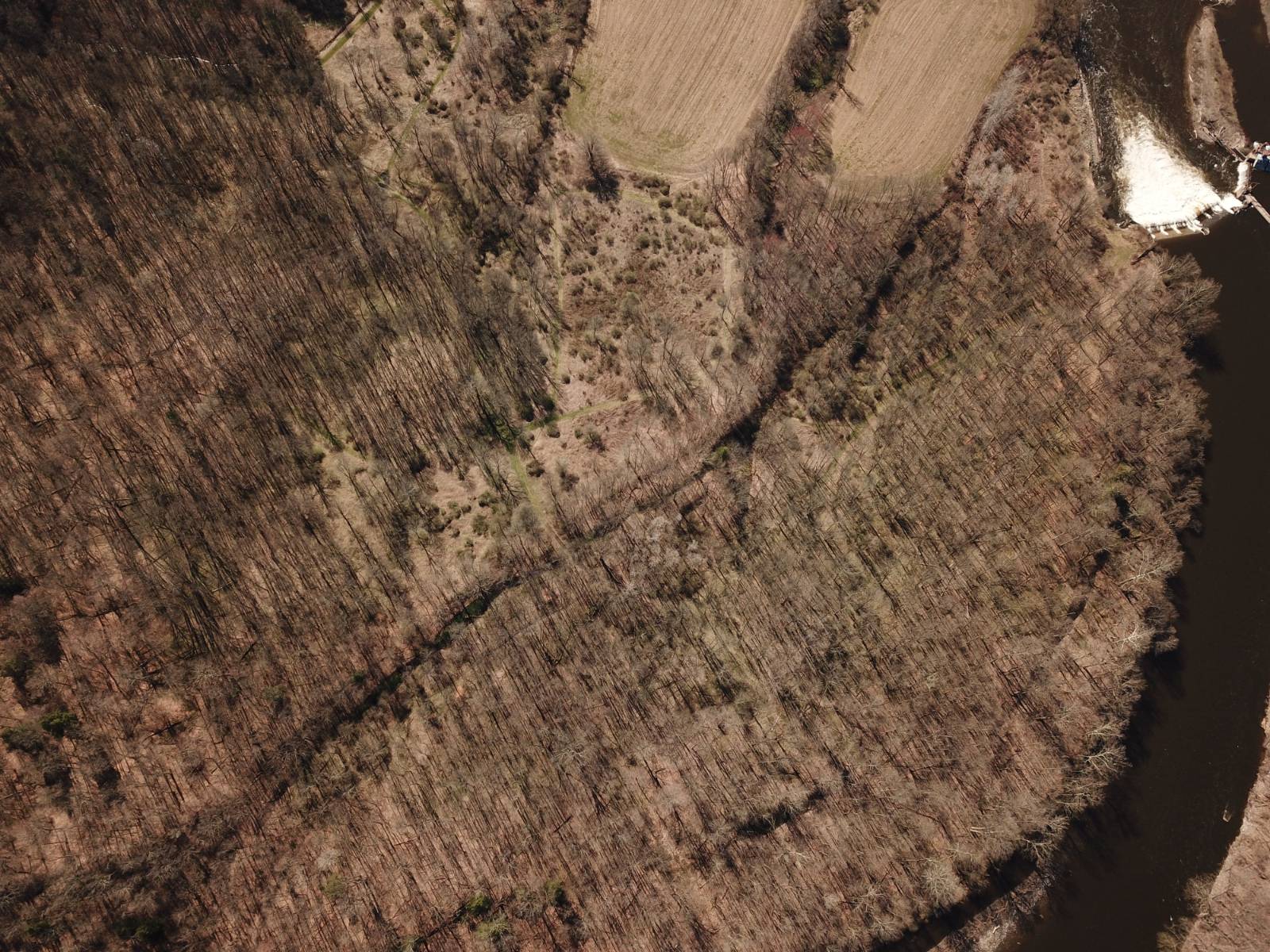 #8 photo, 000 Shells Bush Rd, Herkimer , NY 13350