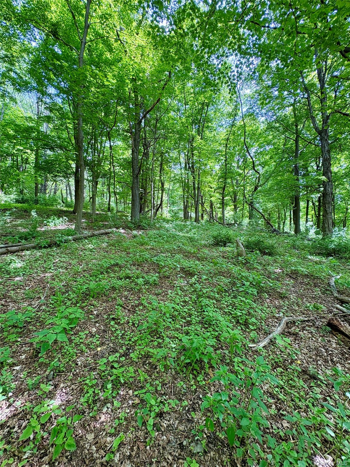 #12 photo, 00 Route 7, Copake , NY 12516