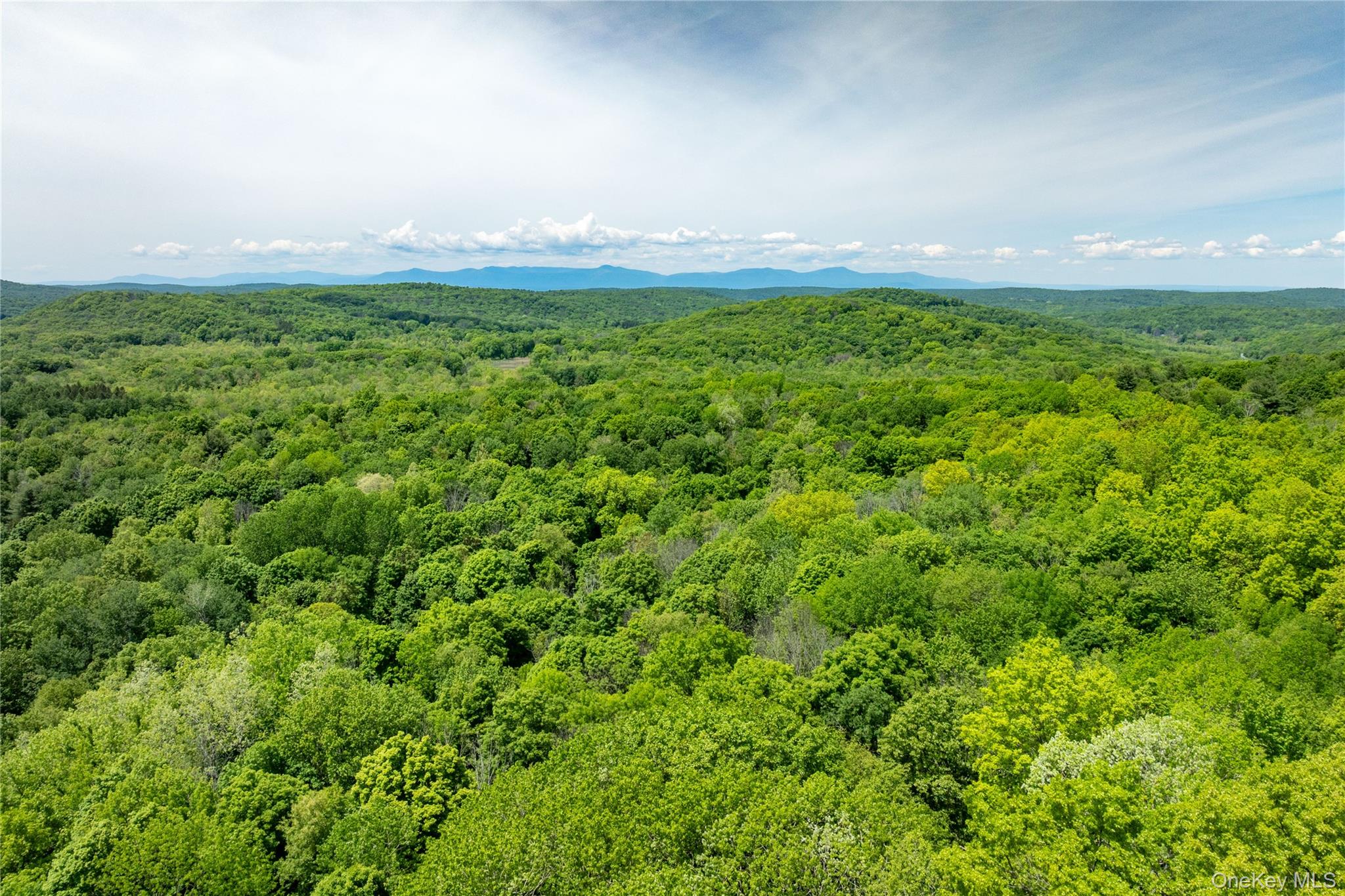 #14 photo, 00 Route 7, Copake , NY 12516