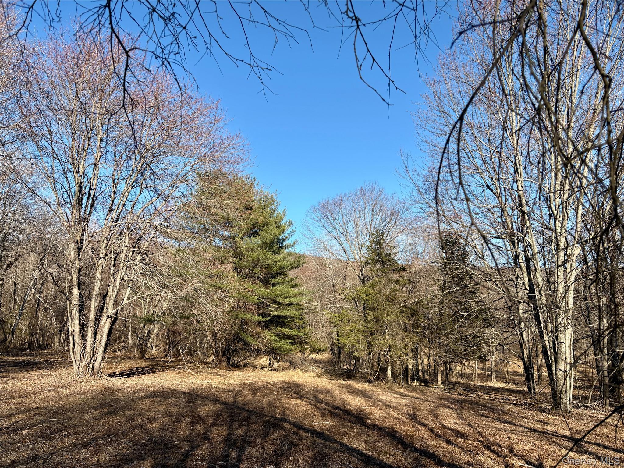 #15 photo, 00 Route 7, Copake , NY 12516