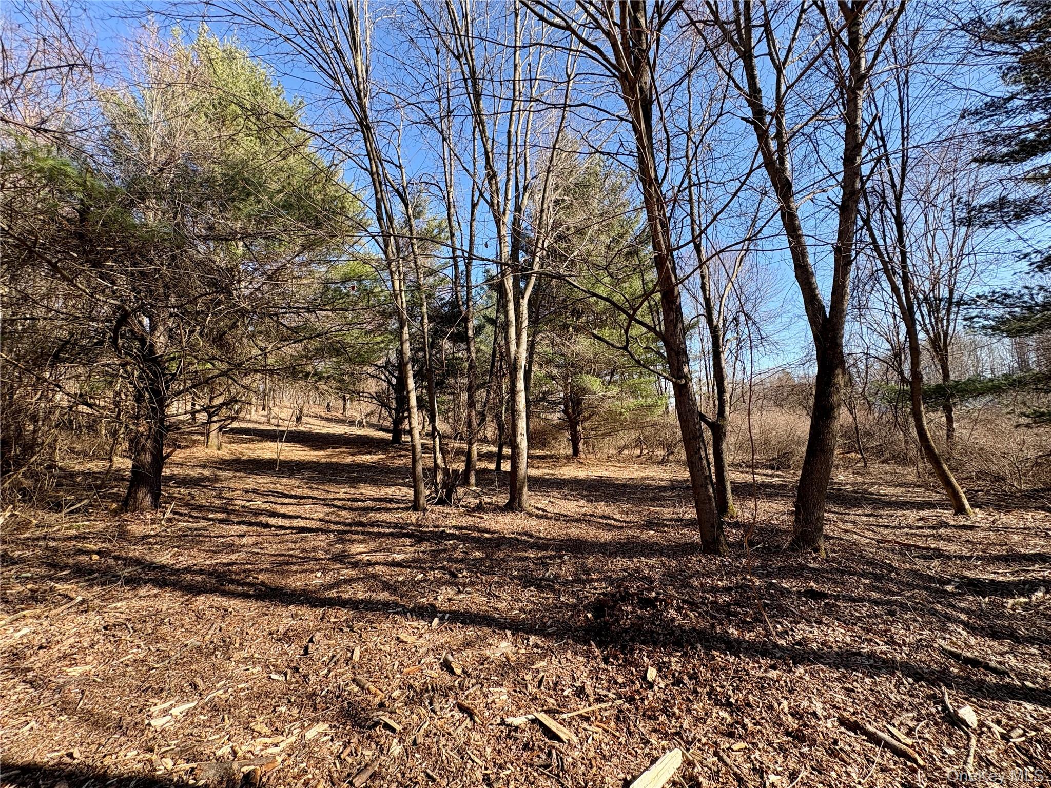 #16 photo, 00 Route 7, Copake , NY 12516