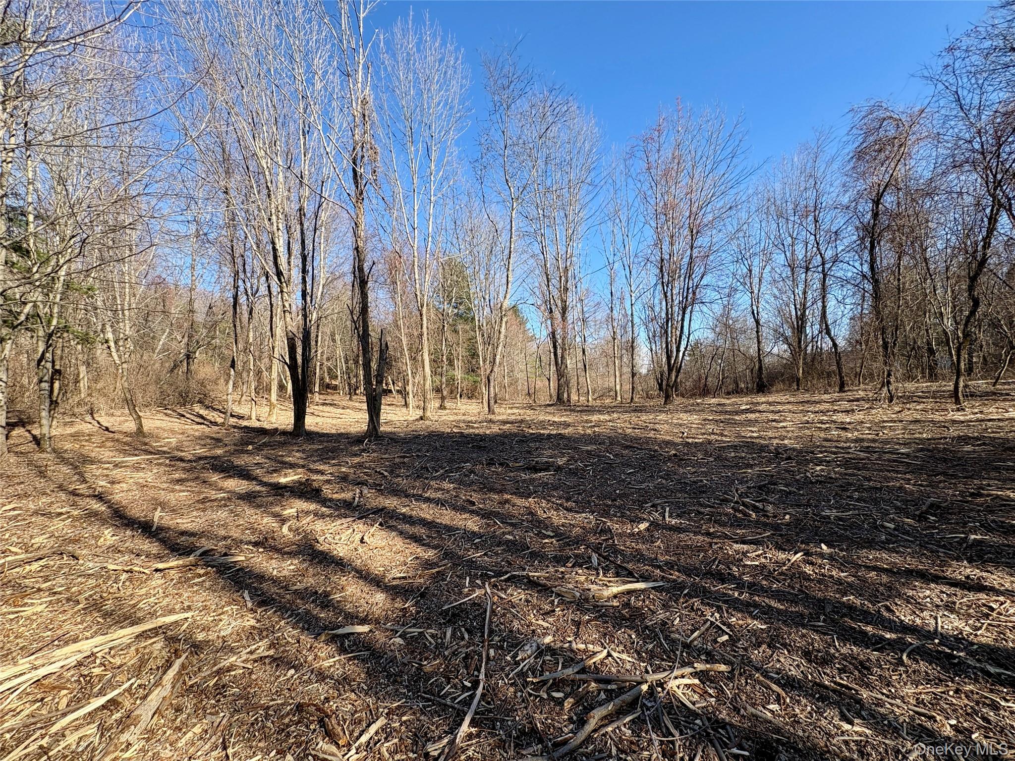 #17 photo, 00 Route 7, Copake , NY 12516