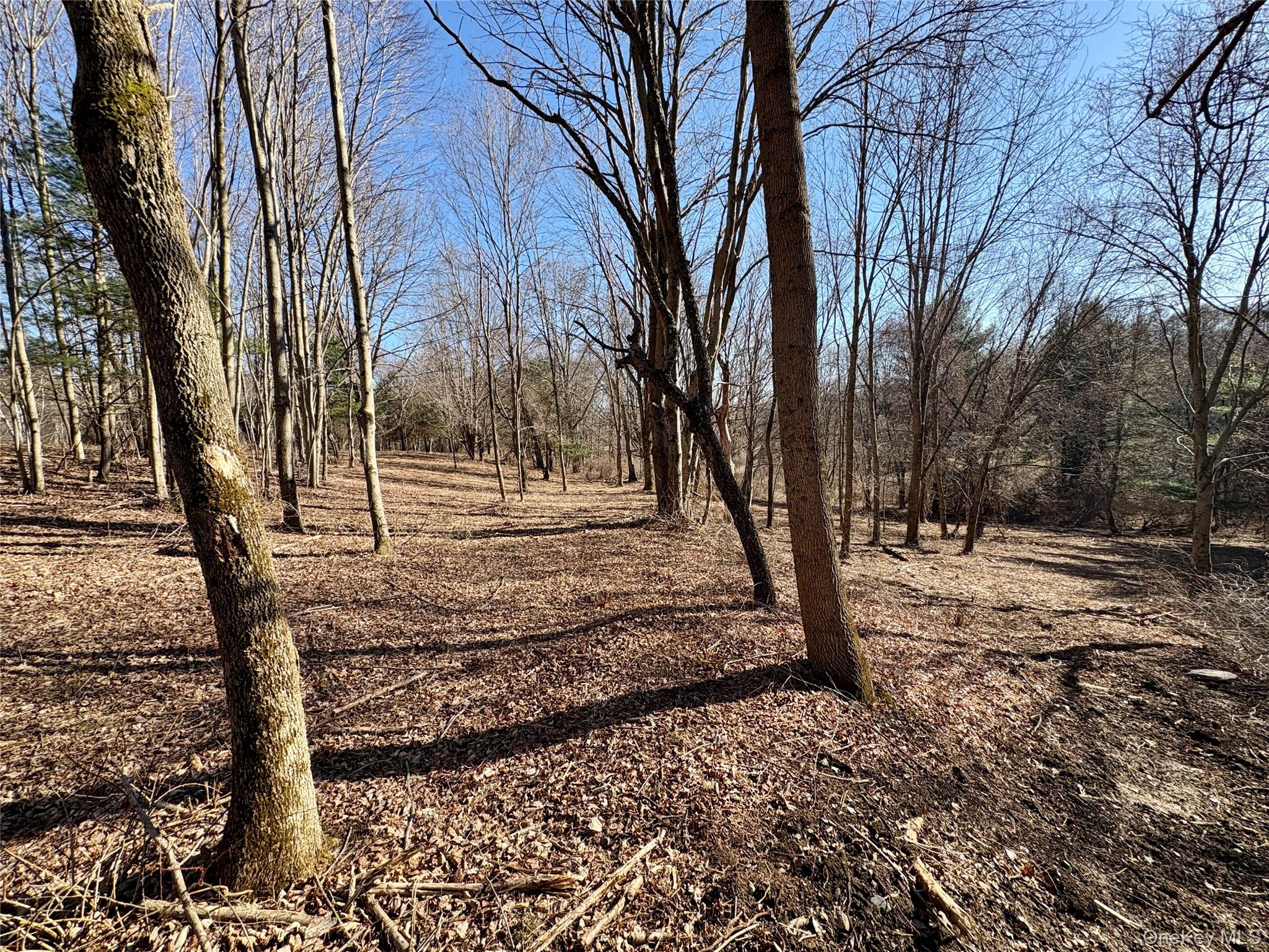 #18 photo, 00 Route 7, Copake , NY 12516