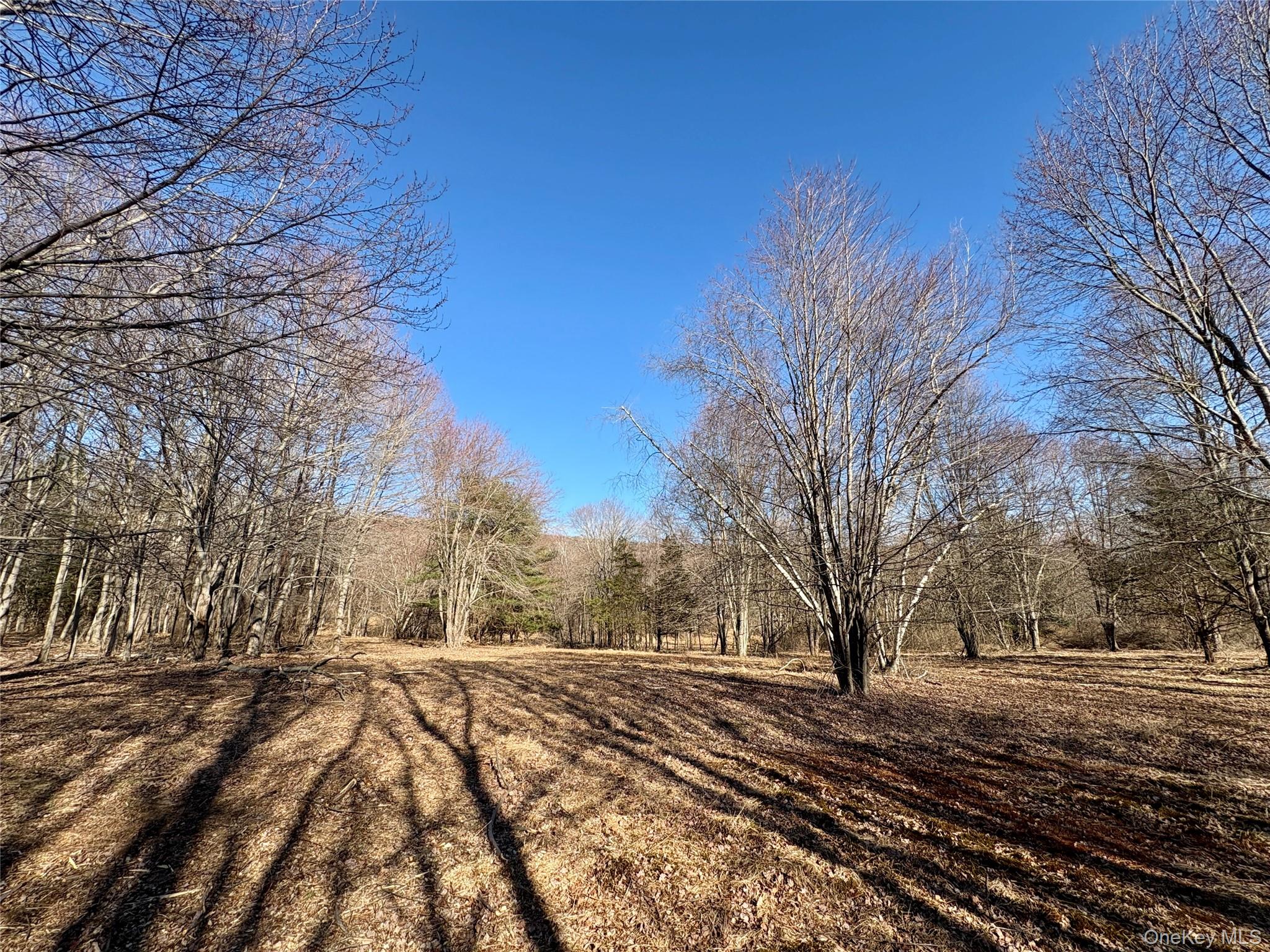 #19 photo, 00 Route 7, Copake , NY 12516