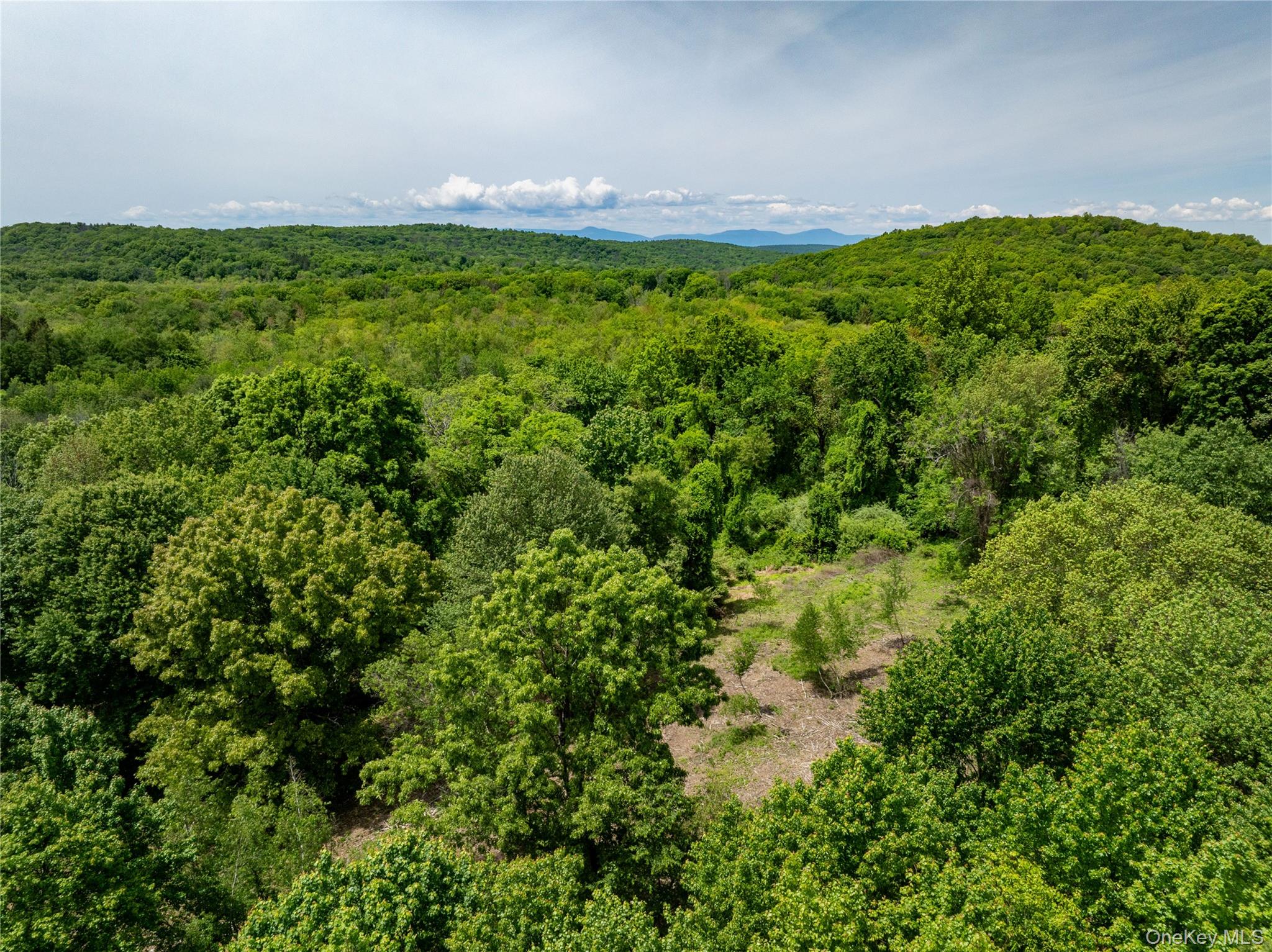 #2 photo, 00 Route 7, Copake , NY 12516