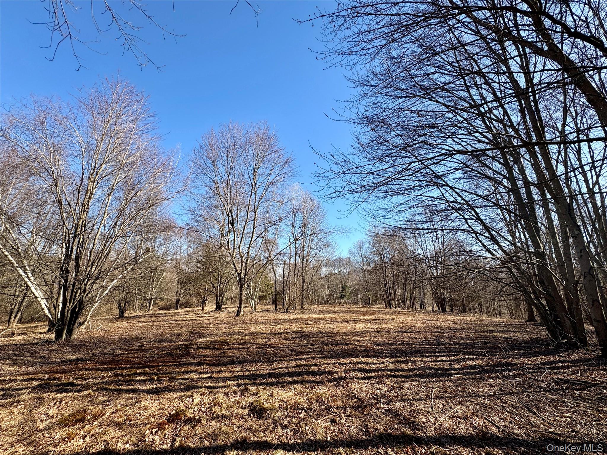 #20 photo, 00 Route 7, Copake , NY 12516