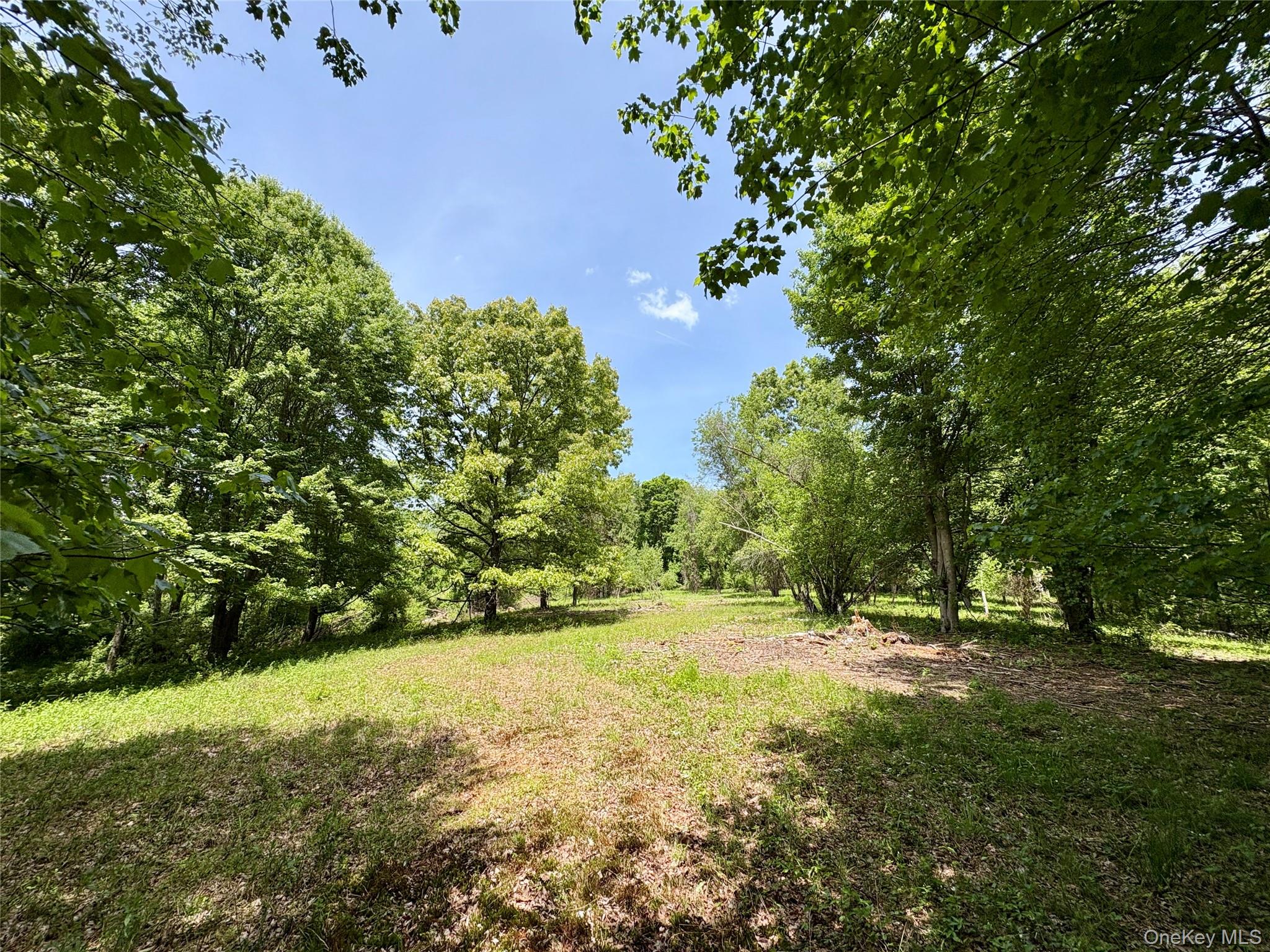 #6 photo, 00 Route 7, Copake , NY 12516