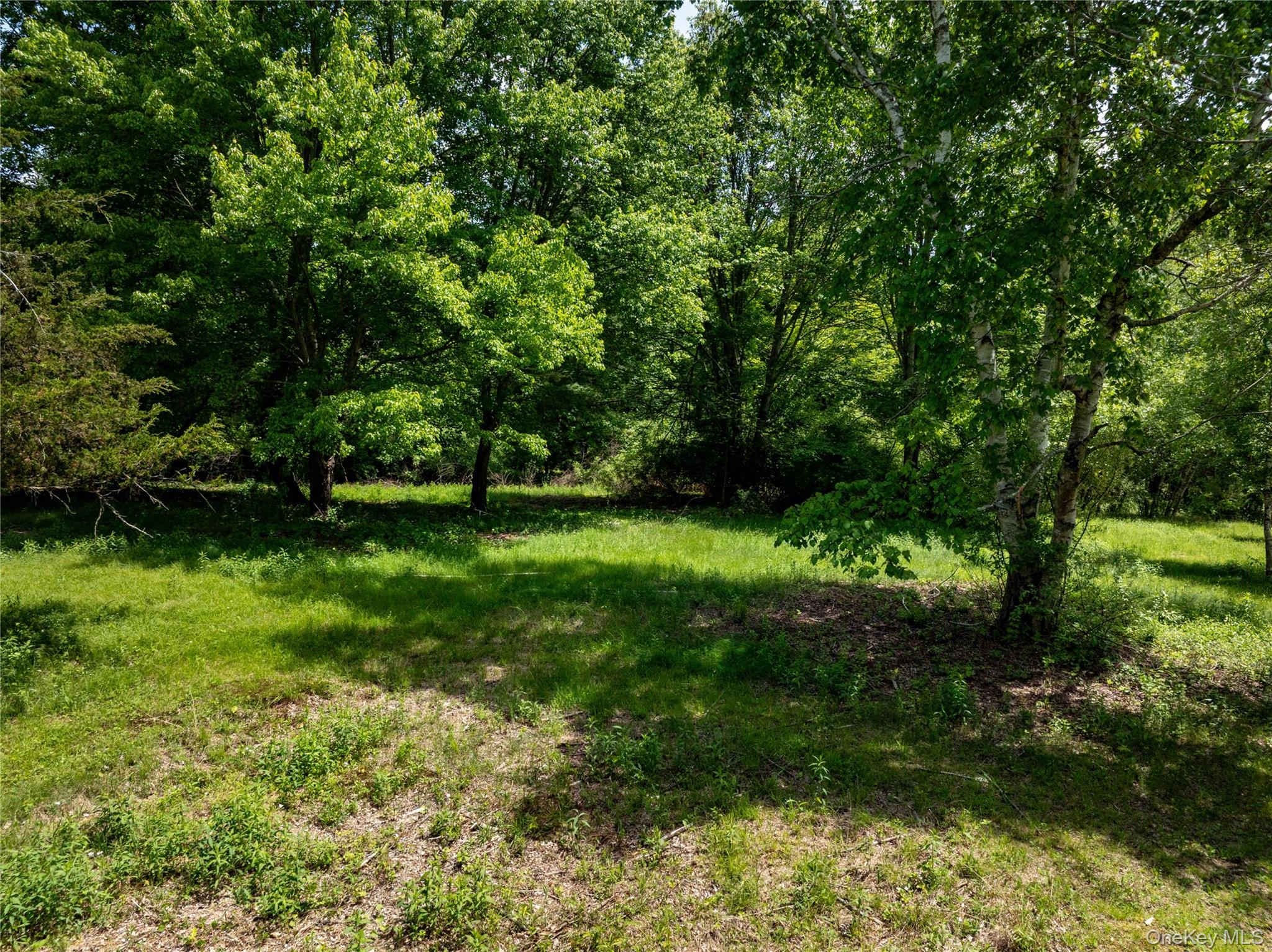 #7 photo, 00 Route 7, Copake , NY 12516