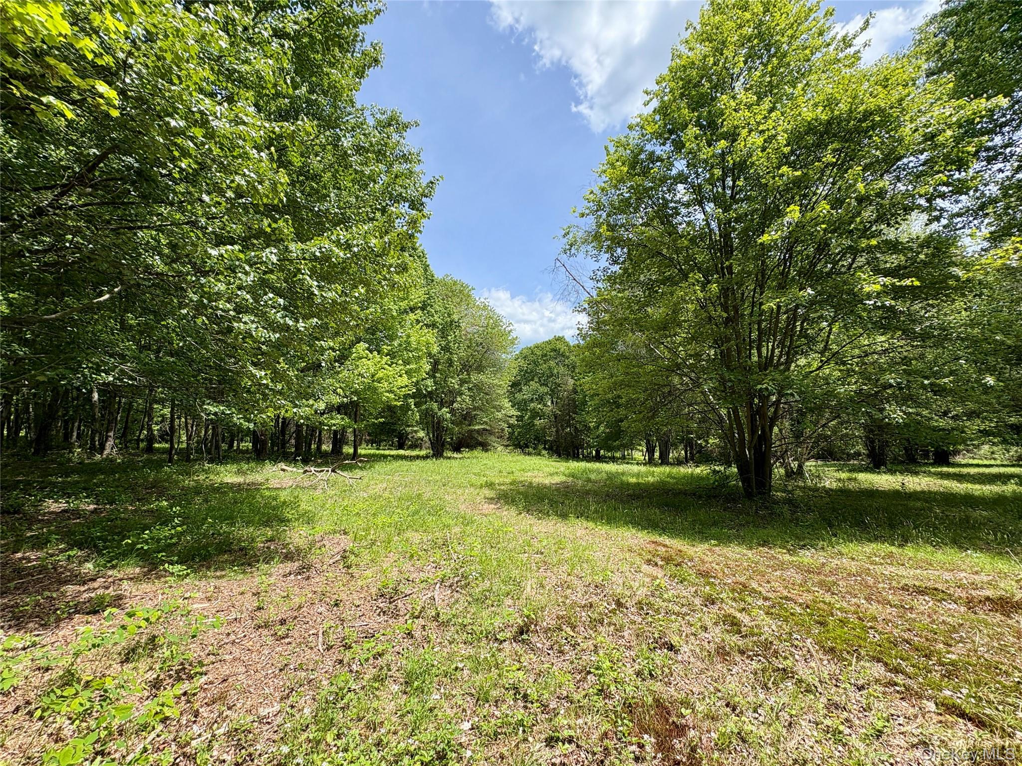 #8 photo, 00 Route 7, Copake , NY 12516