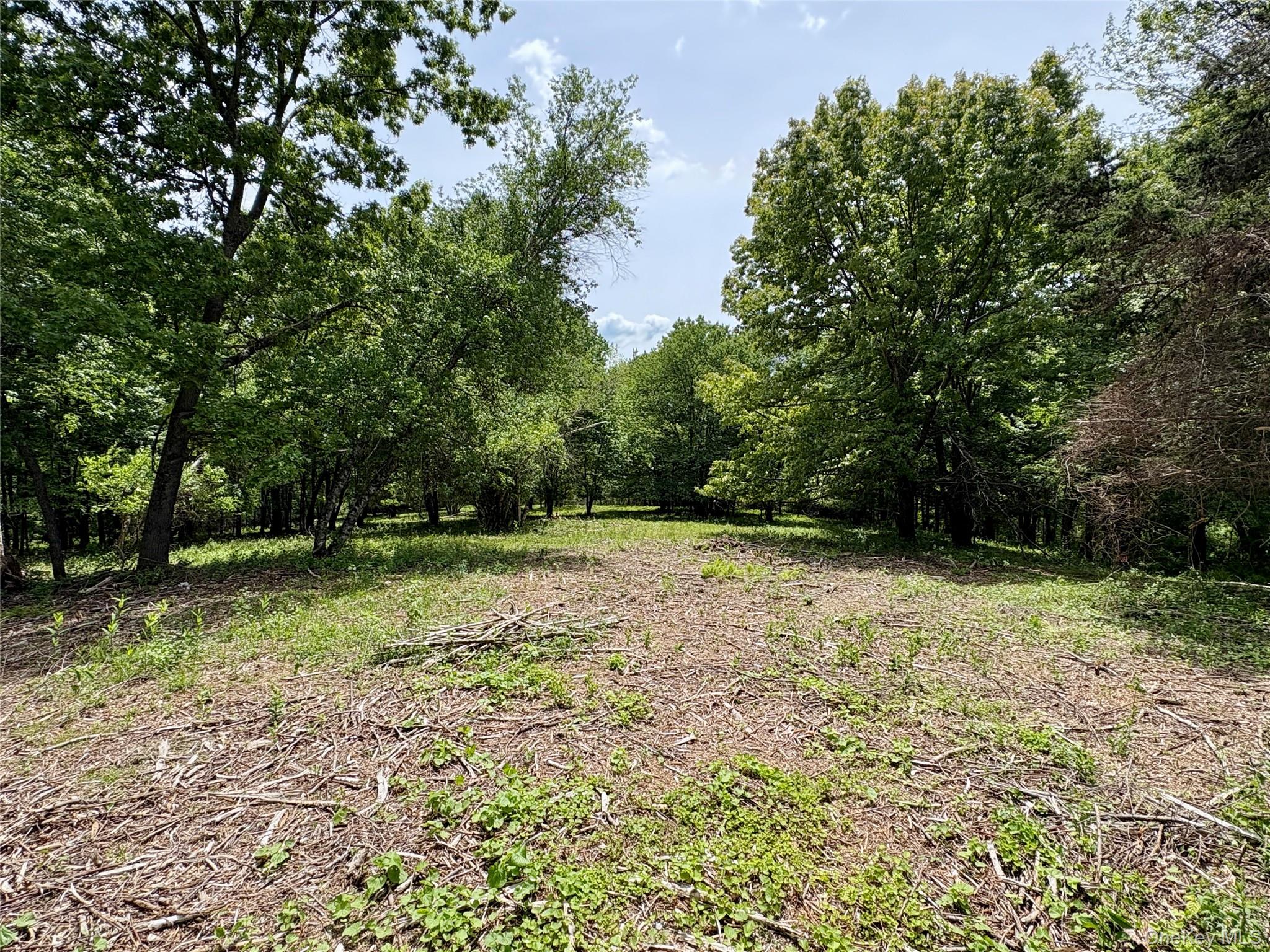 #9 photo, 00 Route 7, Copake , NY 12516