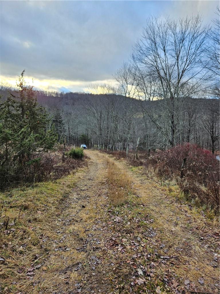 #10 photo, 295 Pleasant Valley Road, North Branch , NY 12766