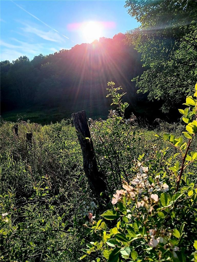 #11 photo, 295 Pleasant Valley Road, North Branch , NY 12766