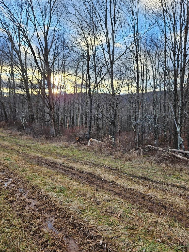 #12 photo, 295 Pleasant Valley Road, North Branch , NY 12766