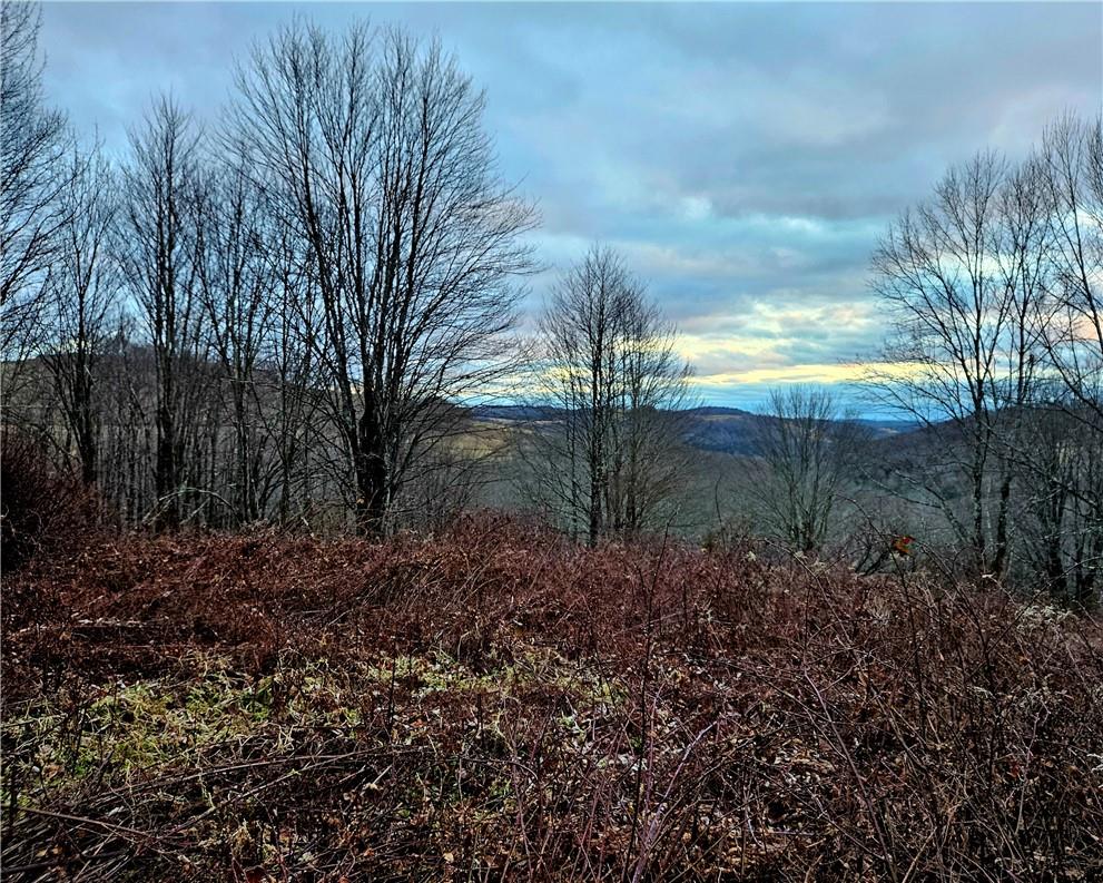 #13 photo, 295 Pleasant Valley Road, North Branch , NY 12766