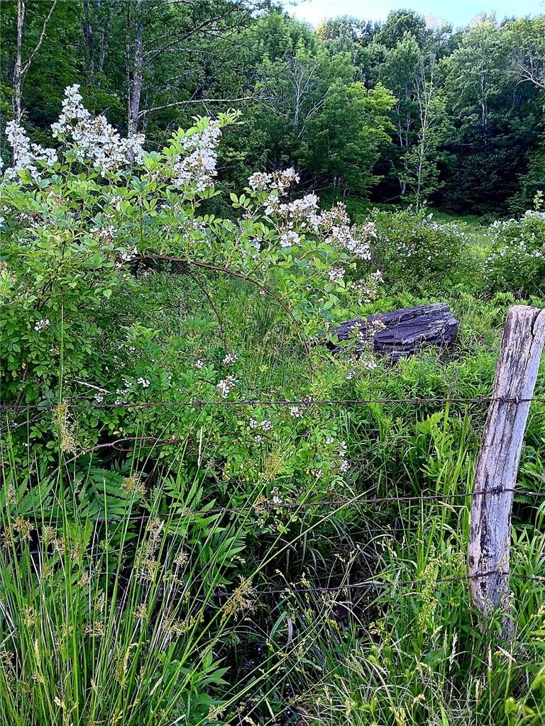 #15 photo, 295 Pleasant Valley Road, North Branch , NY 12766