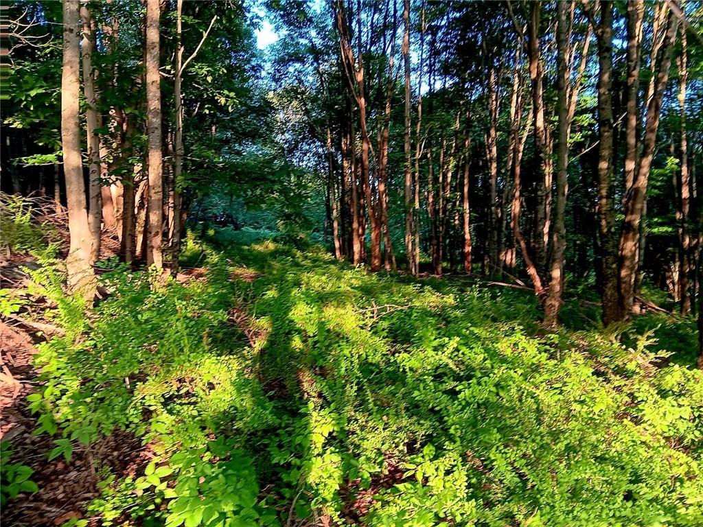 #16 photo, 295 Pleasant Valley Road, North Branch , NY 12766