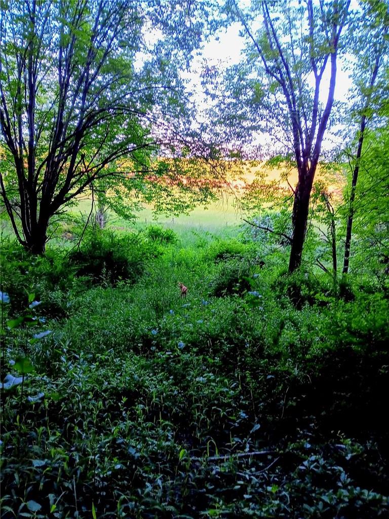 #17 photo, 295 Pleasant Valley Road, North Branch , NY 12766